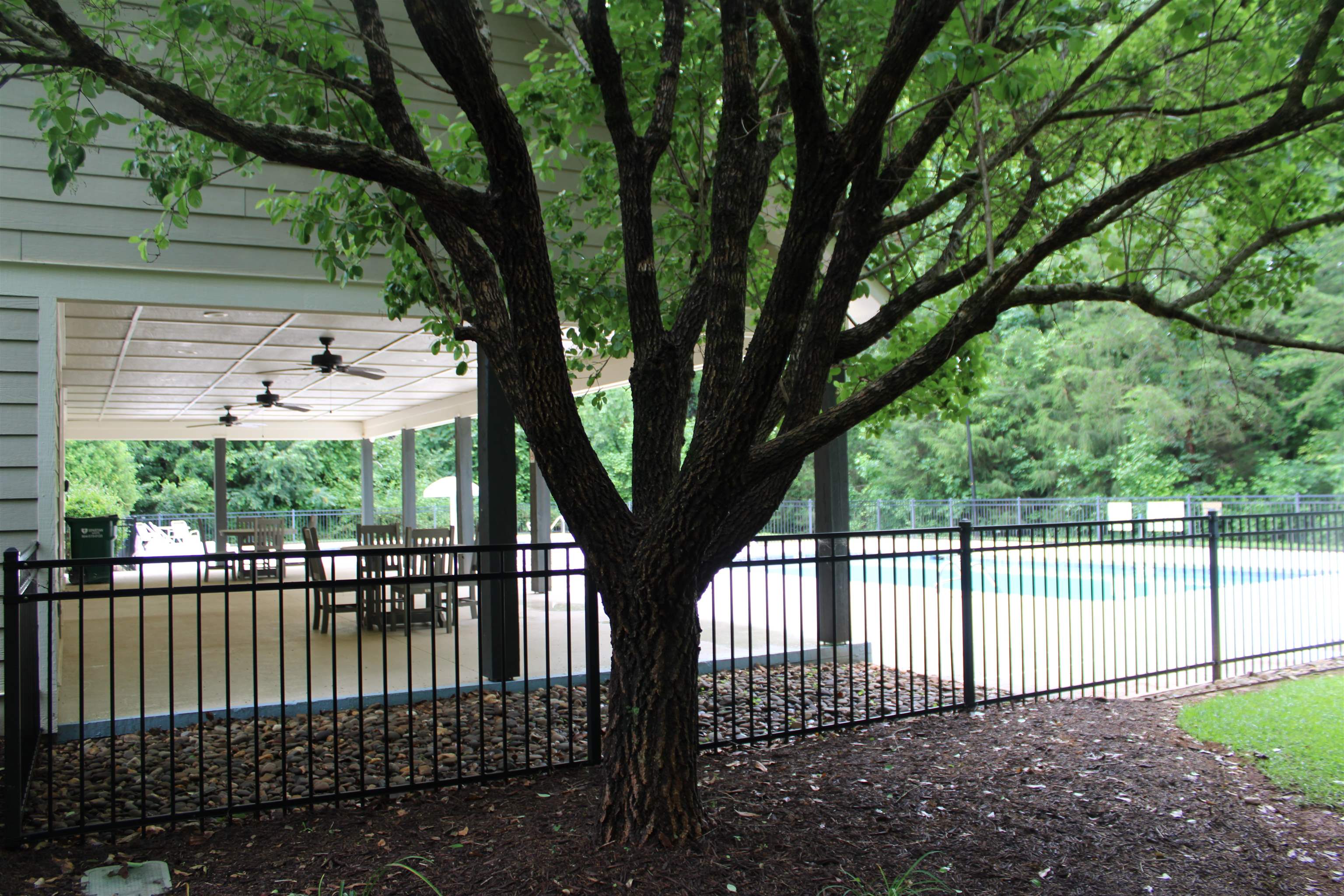 Should you be searching for private backyard with privacy fence, in th – image 38