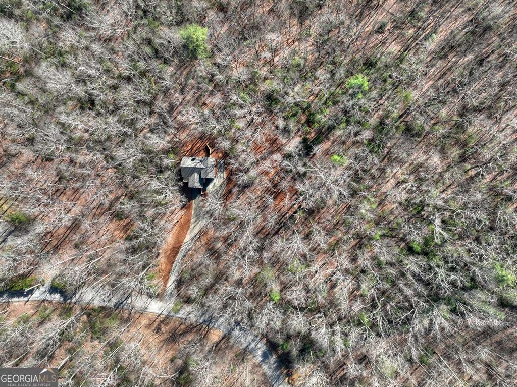 Endless Adventure Awaits where the Heart of the Cohutta Wilderness Are – image 69