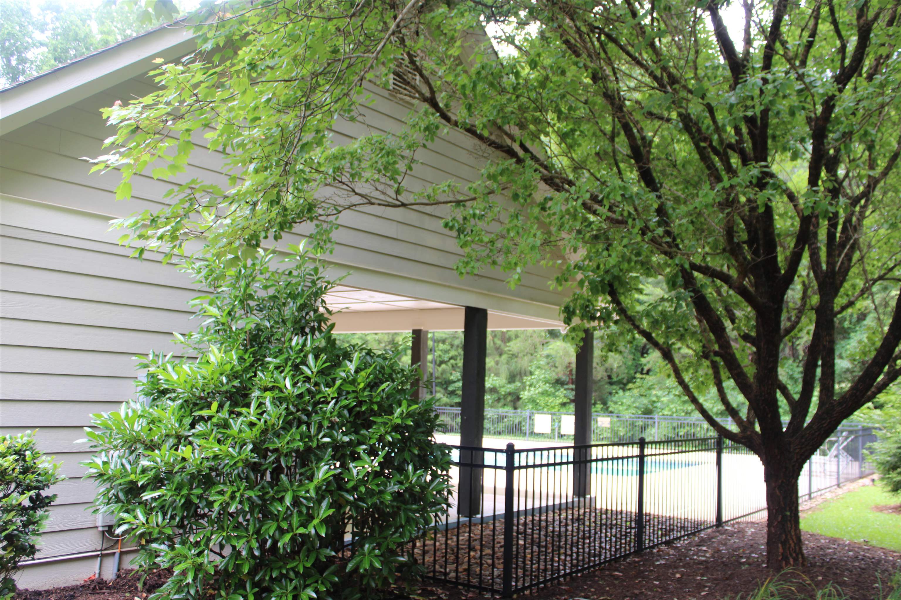 Should you be searching for private backyard with privacy fence, in th – image 36