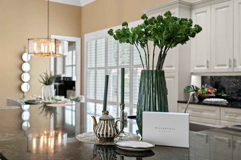 This spectacular custom executive home is situated in Avila, Tampa Bay – image 23