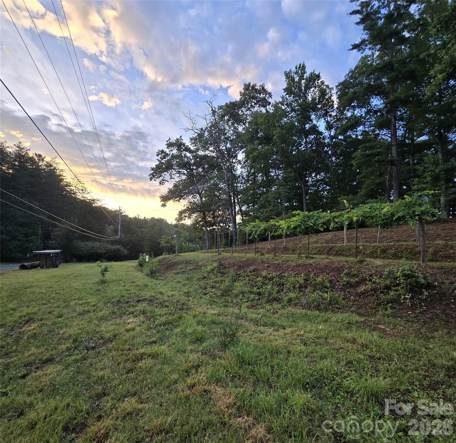 670 670 Cedar Creek Road, Lake Lure, North Carolina, 28746, USA, 3 Bedrooms Bedrooms, ,2 BathroomsBathrooms,Residential,For Sale,670 Cedar Creek Road,4382823