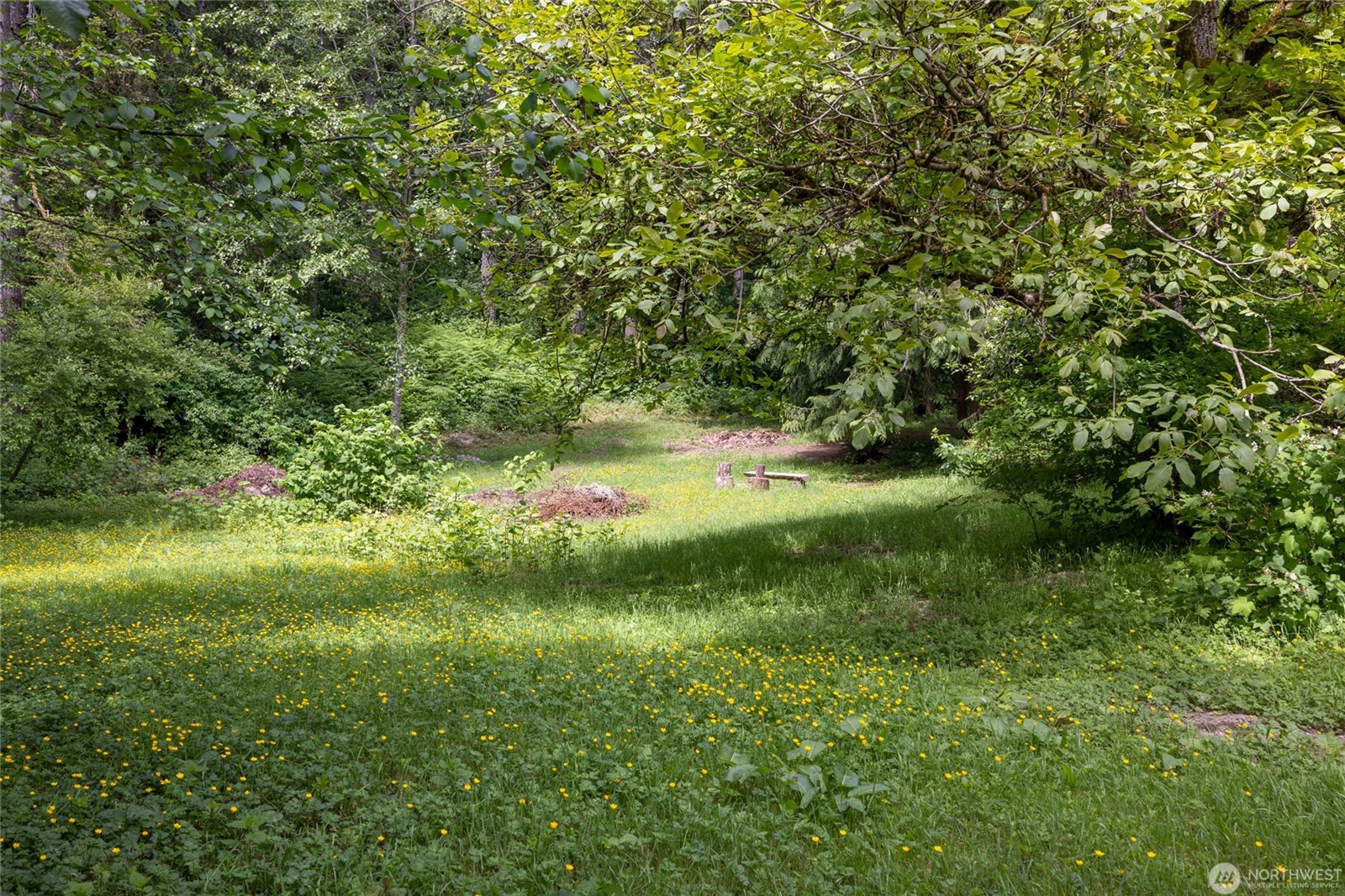 Rare opportunity to enjoy space, flexibility, and income potential on – image 38
