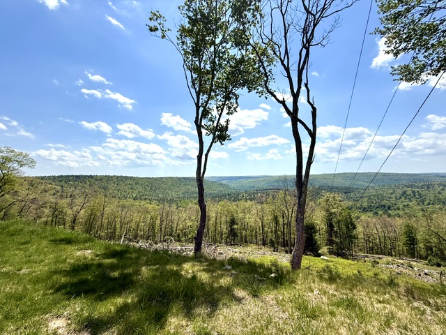 125 125 Mapes Road, Barryville, New York, 12719, USA, 5 Bedrooms Bedrooms, ,4 BathroomsBathrooms,Residential,For Sale,125 Mapes Road,aa92d56b-a59e-44da-a67a-e9124f