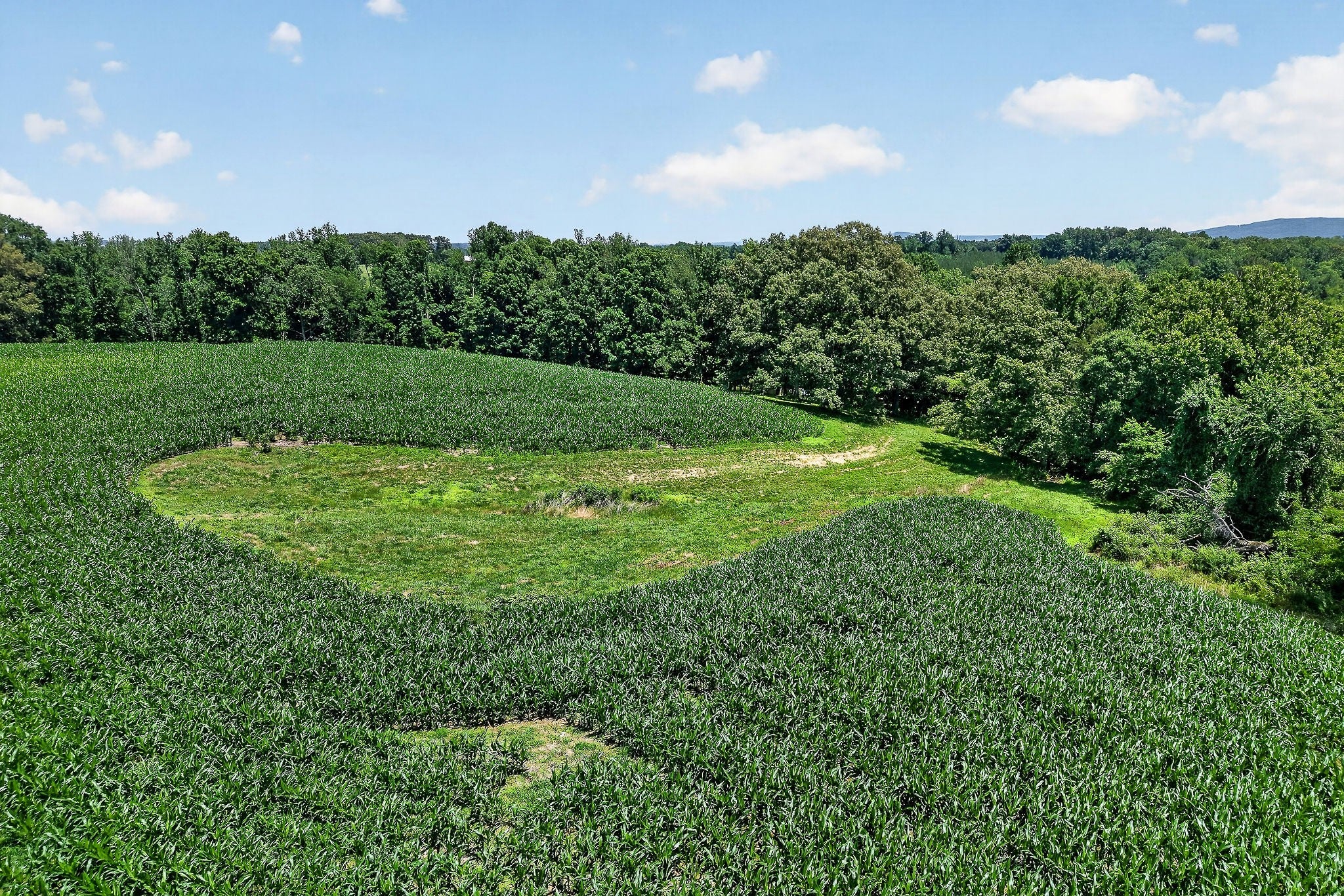Opportunity, acreage, and potential all come together on this 41.16-ac – image 57