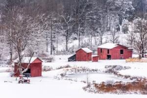 Offering One of the Most Beautiful Farms in Nicholas County A Rare opp – image 53