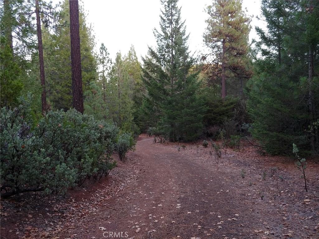 Fabulous 80 Acre Parcel with Manufactured Home and One Incredible Barn – image 13