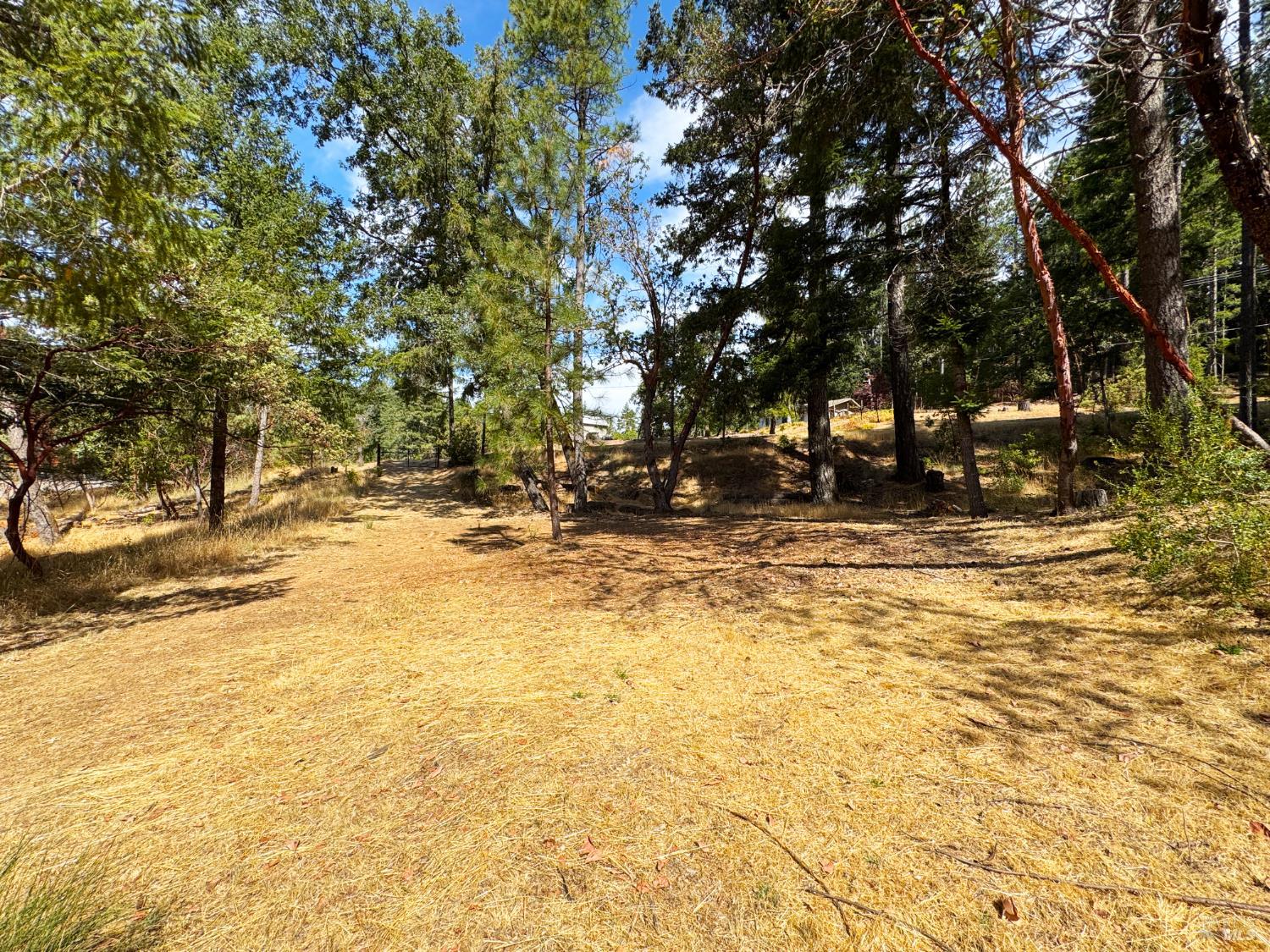 4101 4101 Chinquapin Drive, Willits, California, 95490, USA, 2 Bedrooms Bedrooms, ,2 BathroomsBathrooms,Residential,For Sale,4101 Chinquapin Drive,5bb40849-5147-46af-9ad1-ad94d3