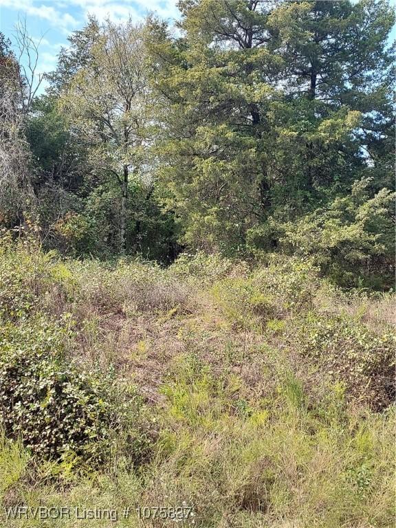 220 acres on either side of Milton Road, approximately 3/4 mile South – image 6