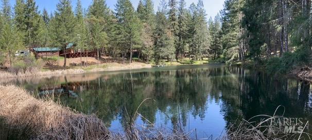 4101 4101 Chinquapin Drive, Willits, California, 95490, USA, 2 Bedrooms Bedrooms, ,2 BathroomsBathrooms,Residential,For Sale,4101 Chinquapin Drive,5bb40849-5147-46af-9ad1-ad94d3