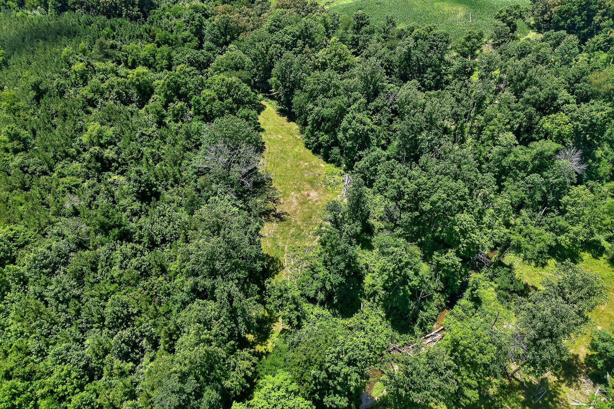 Opportunity, acreage, and potential all come together on this 41.16-ac – image 54
