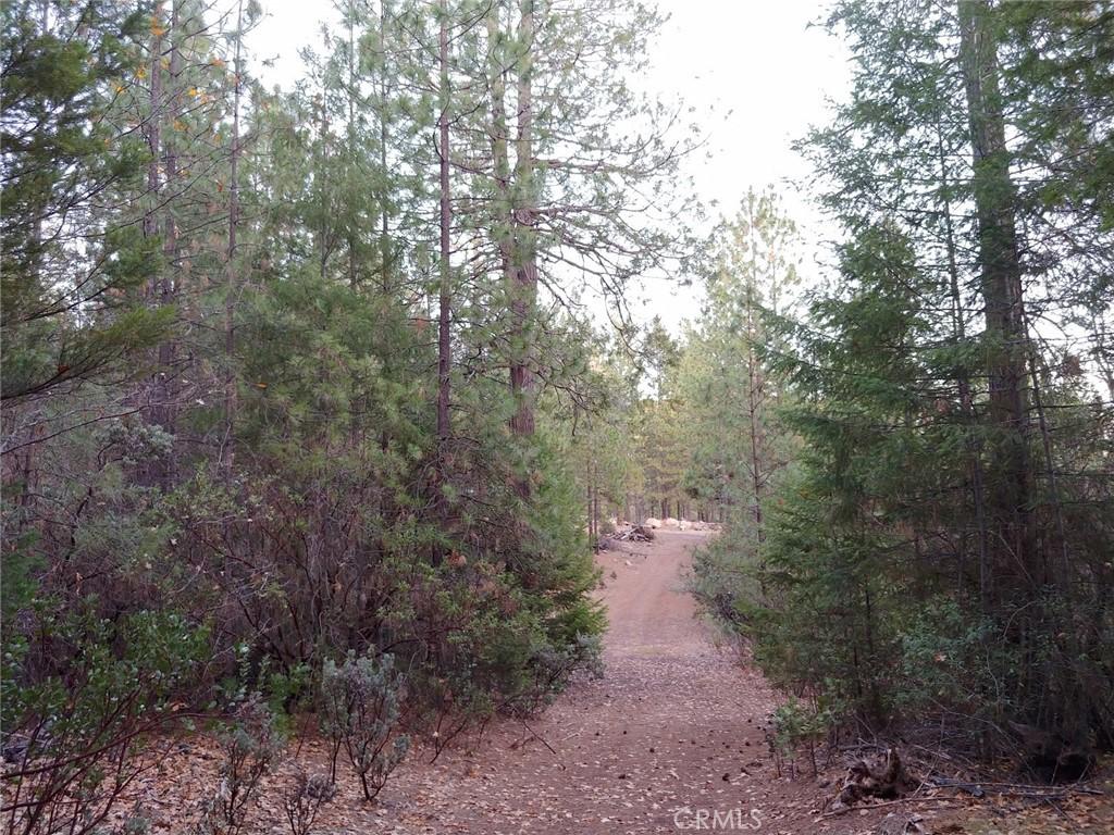 Fabulous 80 Acre Parcel with Manufactured Home and One Incredible Barn – image 28