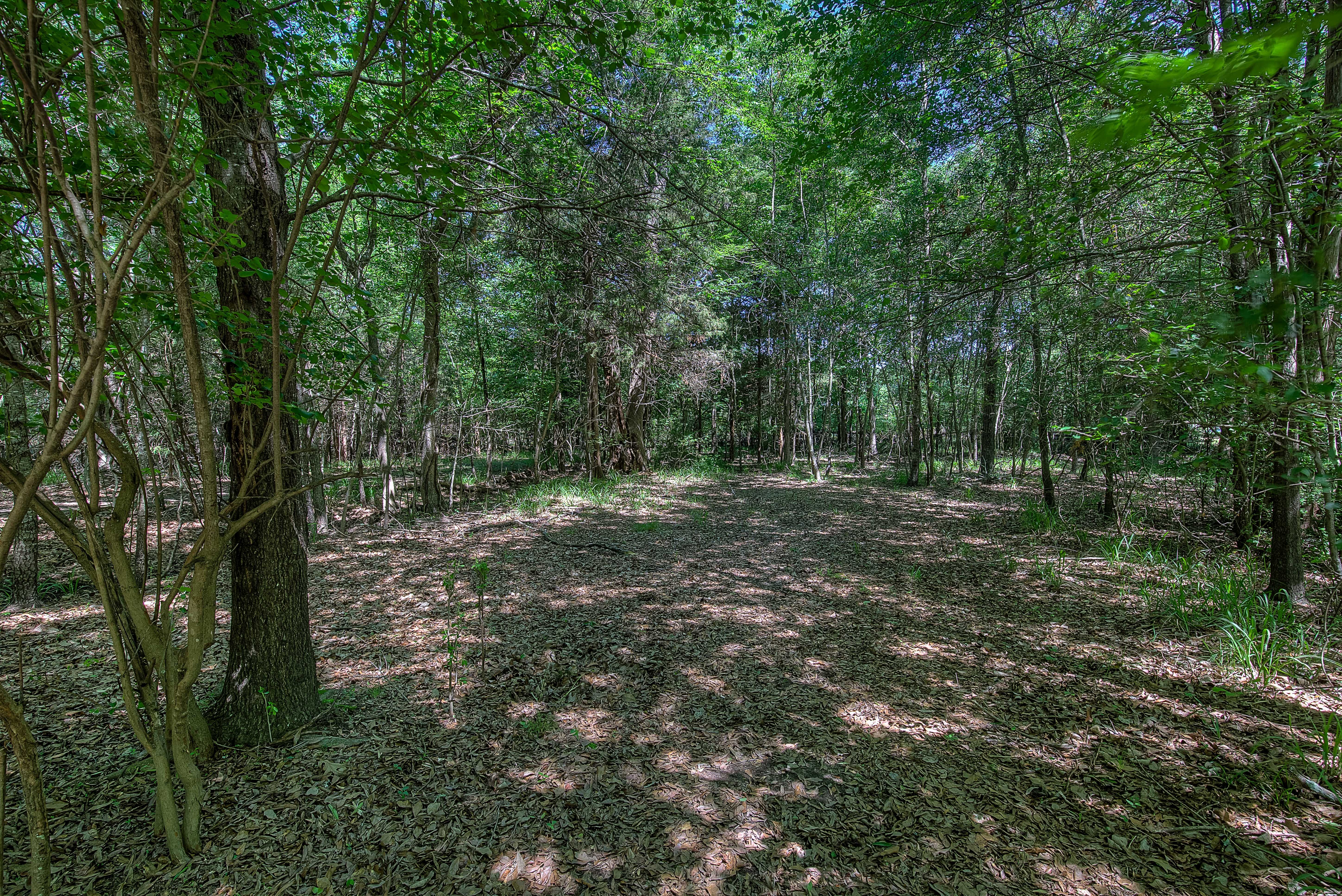 395 395 County Road 1780, Yantis, Texas, 75497, USA, 4 Bedrooms Bedrooms, ,2 BathroomsBathrooms,Residential,For Sale,395 County Road 1780,8e198a66-170e-4295-95f6-0c779d