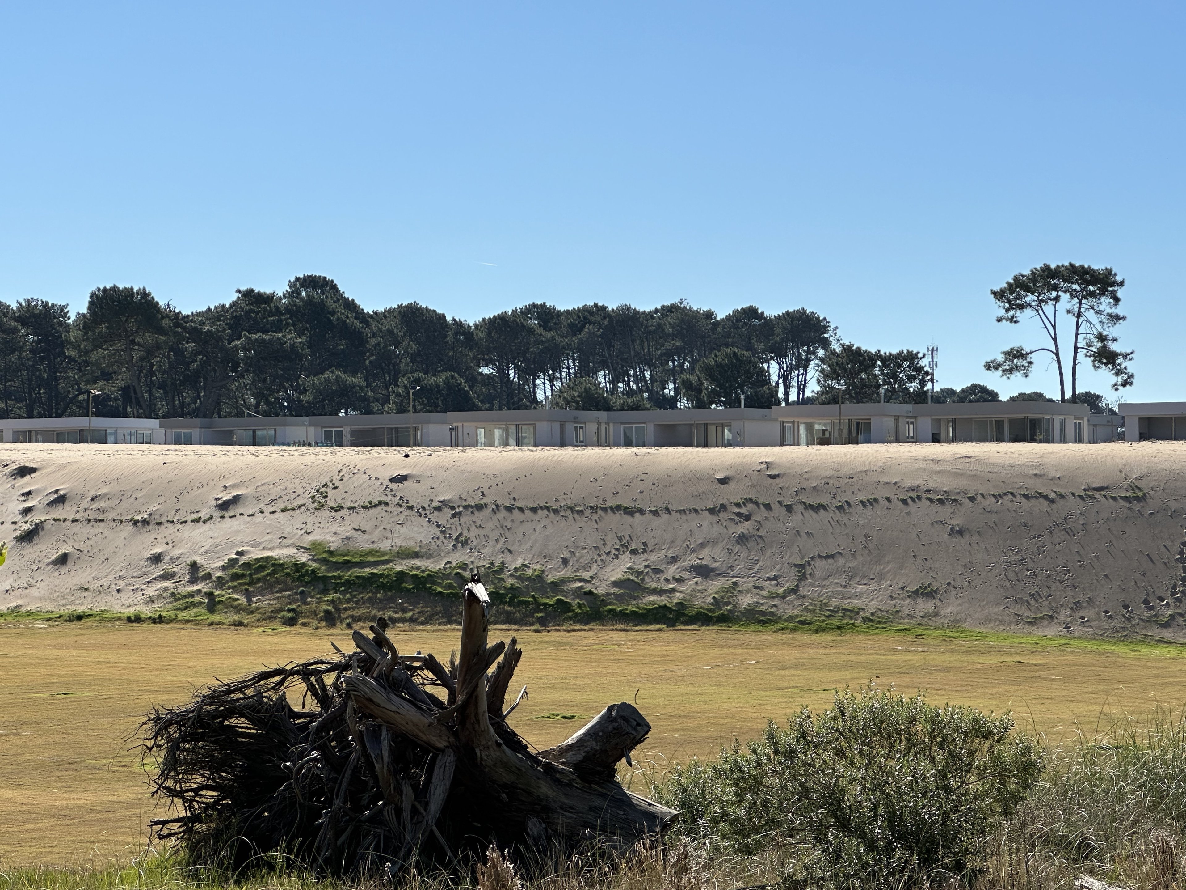 Excellent lot in Bosque de Punta Ballena - 物件實景