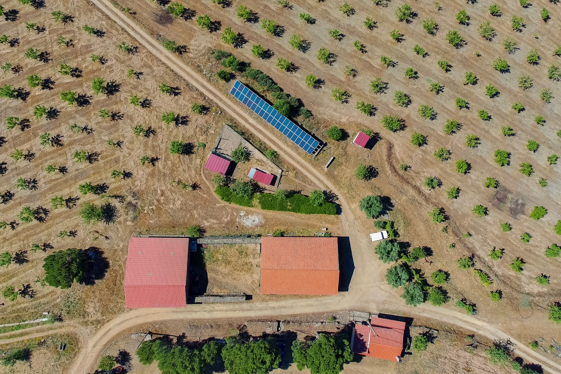  Country Estate for Sale - 物件實景