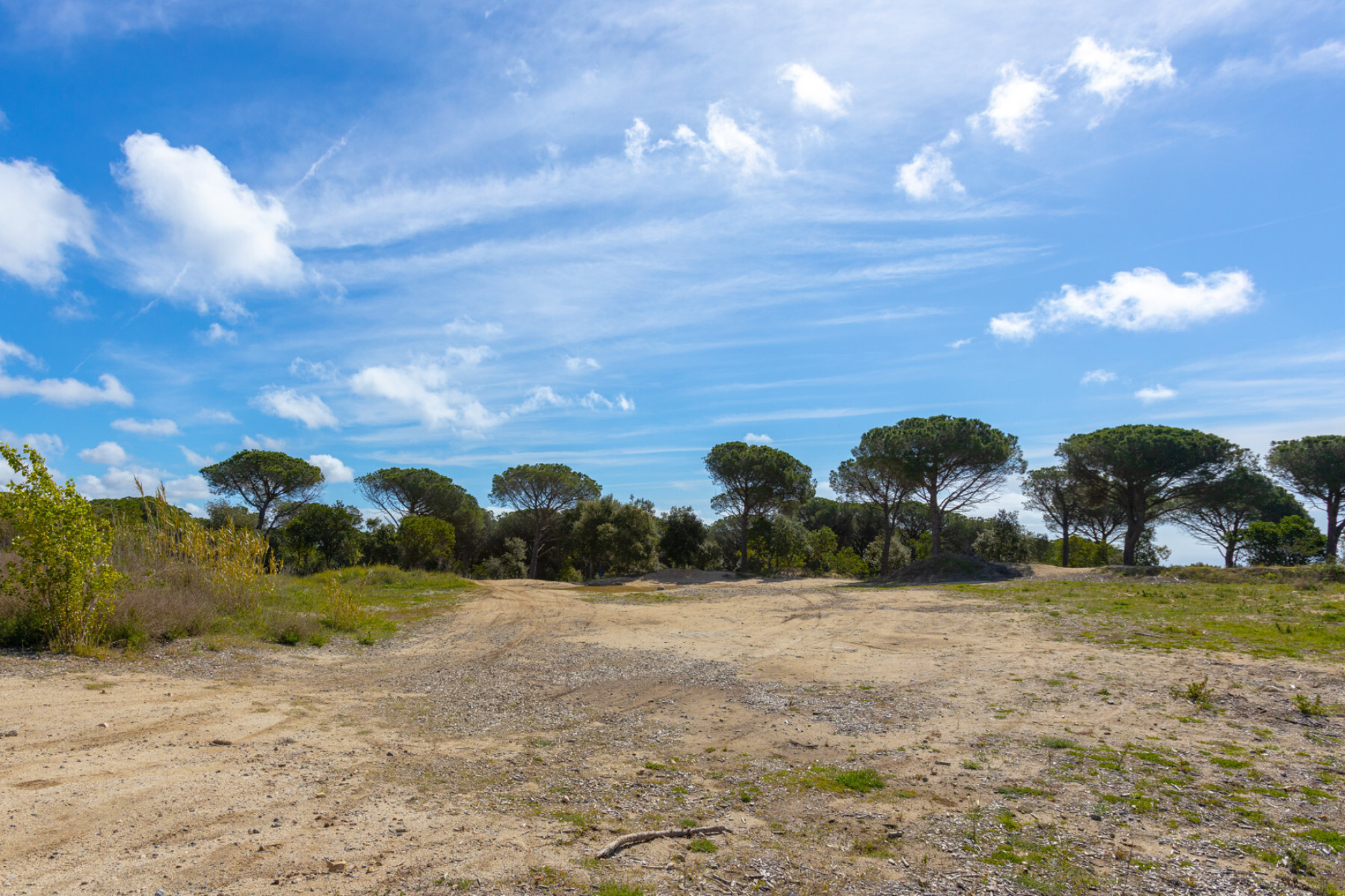  Urban land plus forest in Supermaresme - Costa BCN - 物件實景