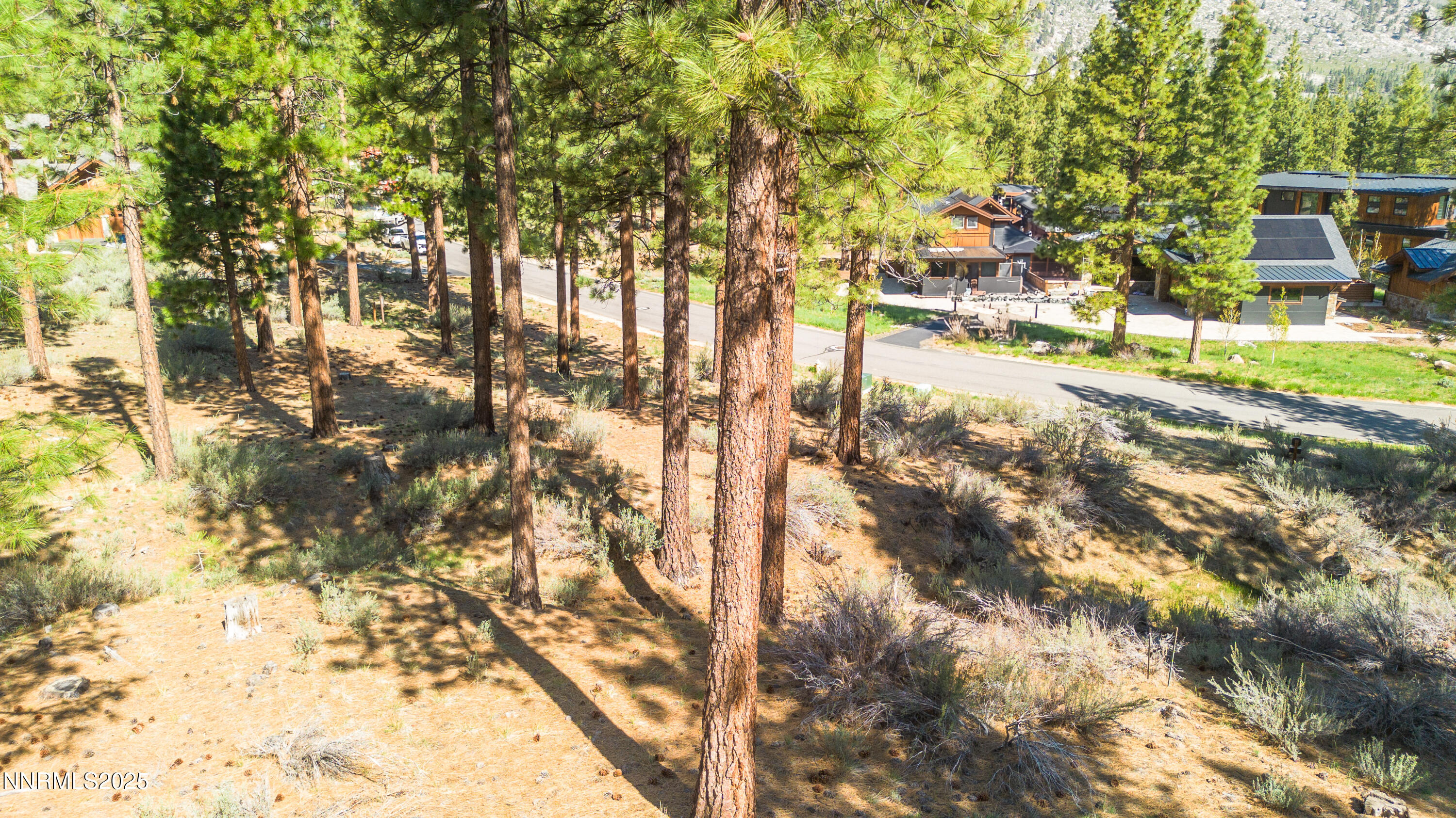 Carson City, Nevada, 89705, United States, ,Land,For Sale,1846834