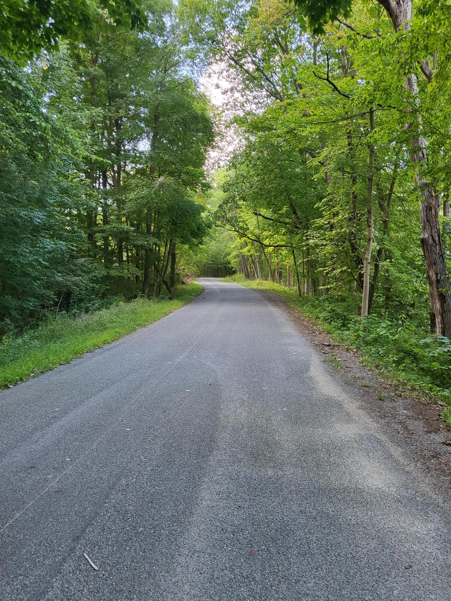 Union Pier, Michigan, 49129, United States, ,Land,For Sale,1988293