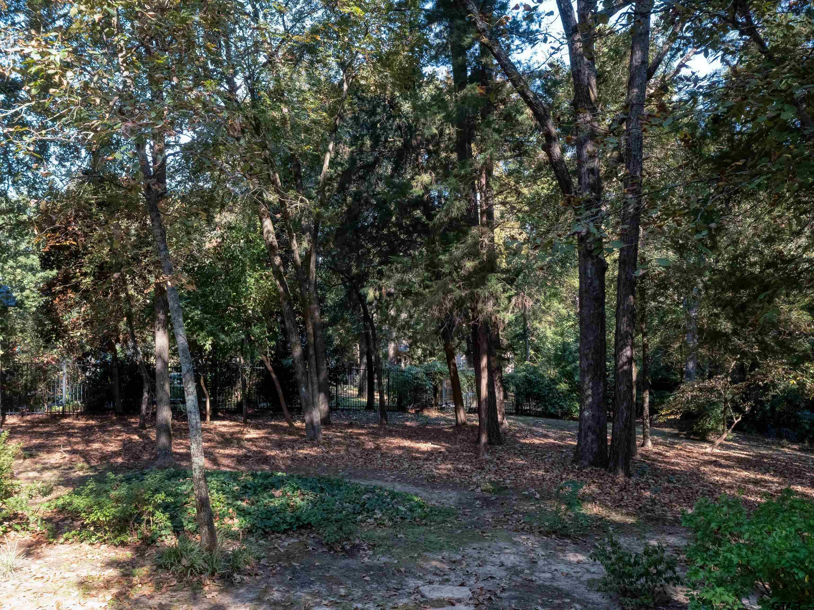 Tyler, Texas, 75703, United States, 4 Bedrooms Bedrooms, ,4 BathroomsBathrooms,Residential,For Sale,1970212