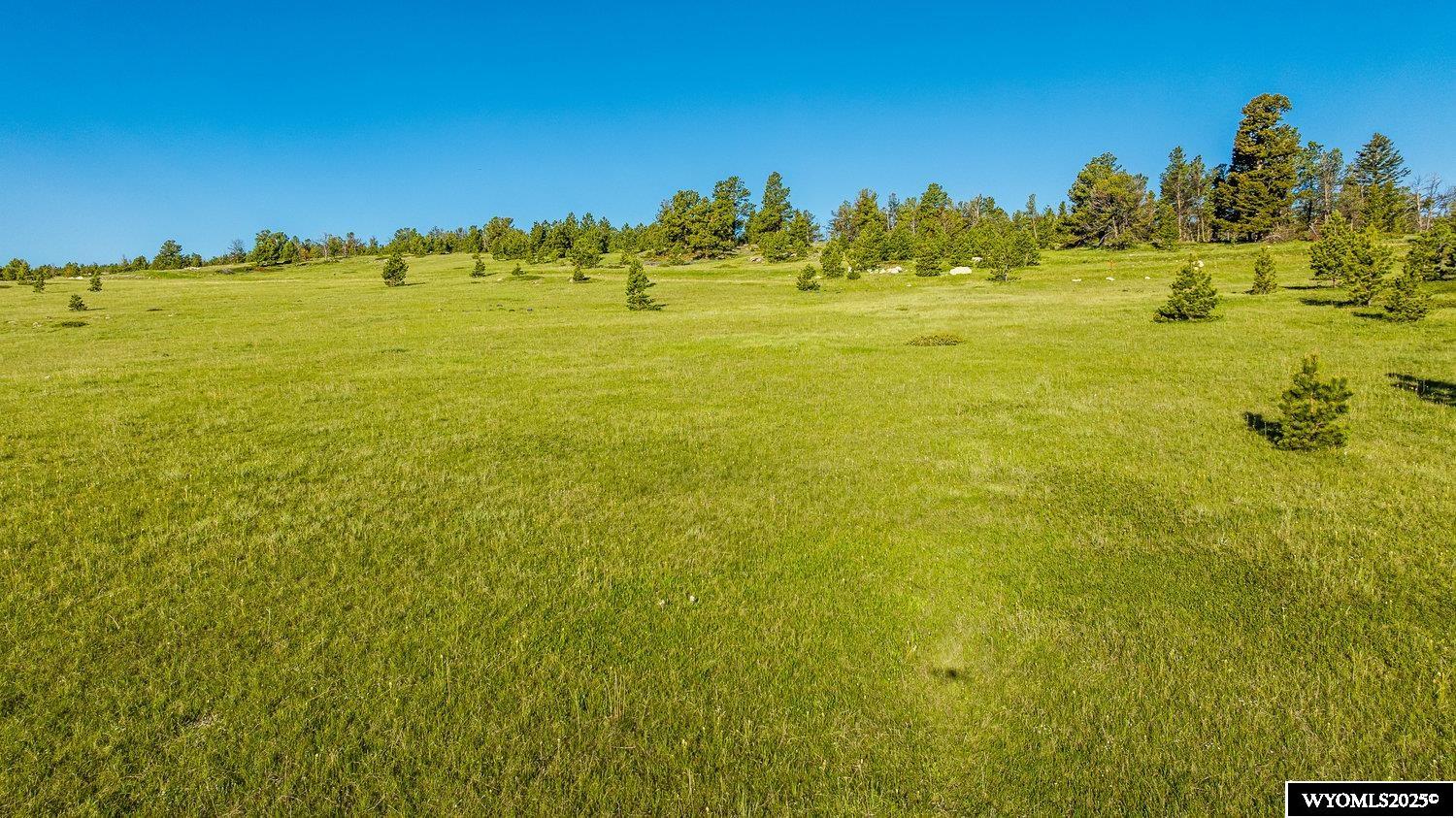 Buffalo, Wyoming, 82834, United States, ,Land,For Sale,1778348