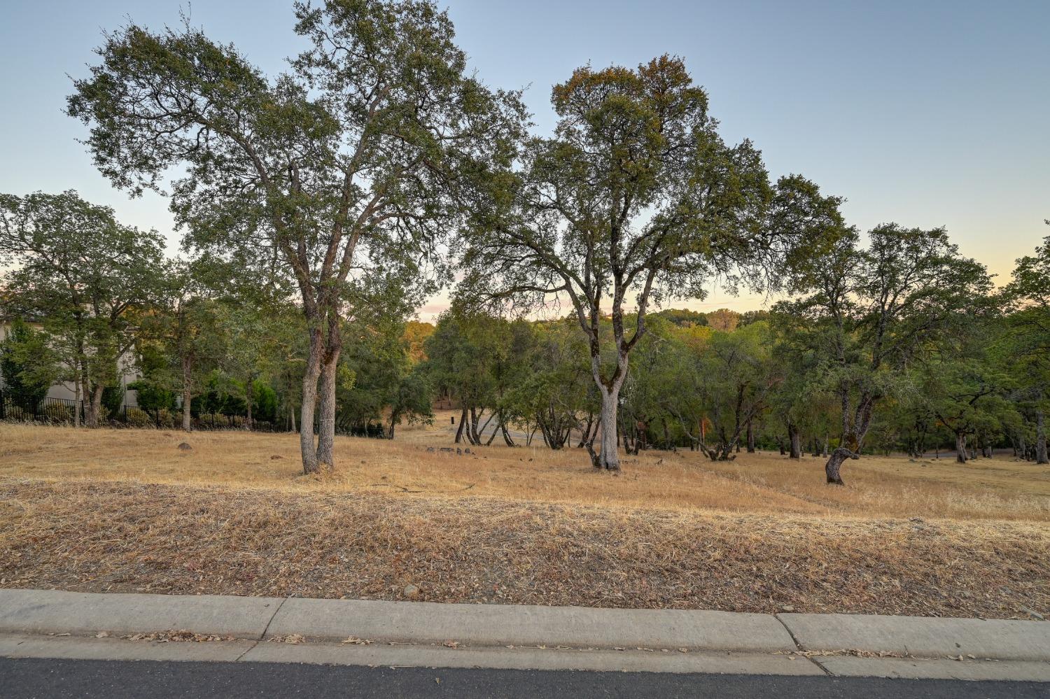 5211 Da Vinci Drive, El Dorado Hills, California, 95762, United States, ,Land,For Sale,5211 Da Vinci Drive,1573000