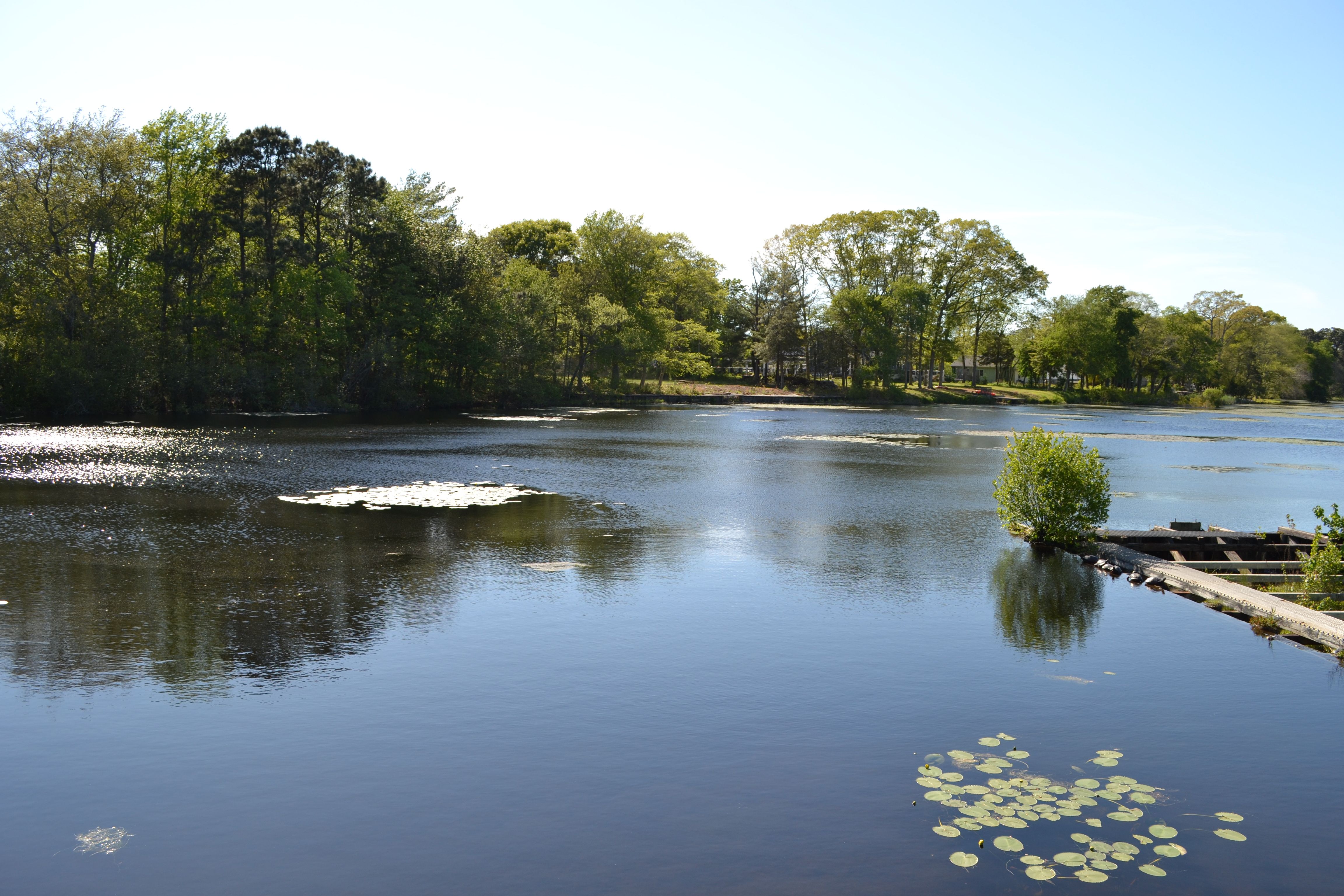  9 Courtland Ct, Egg Harbor Township, NJ 08234 - 物件實景
