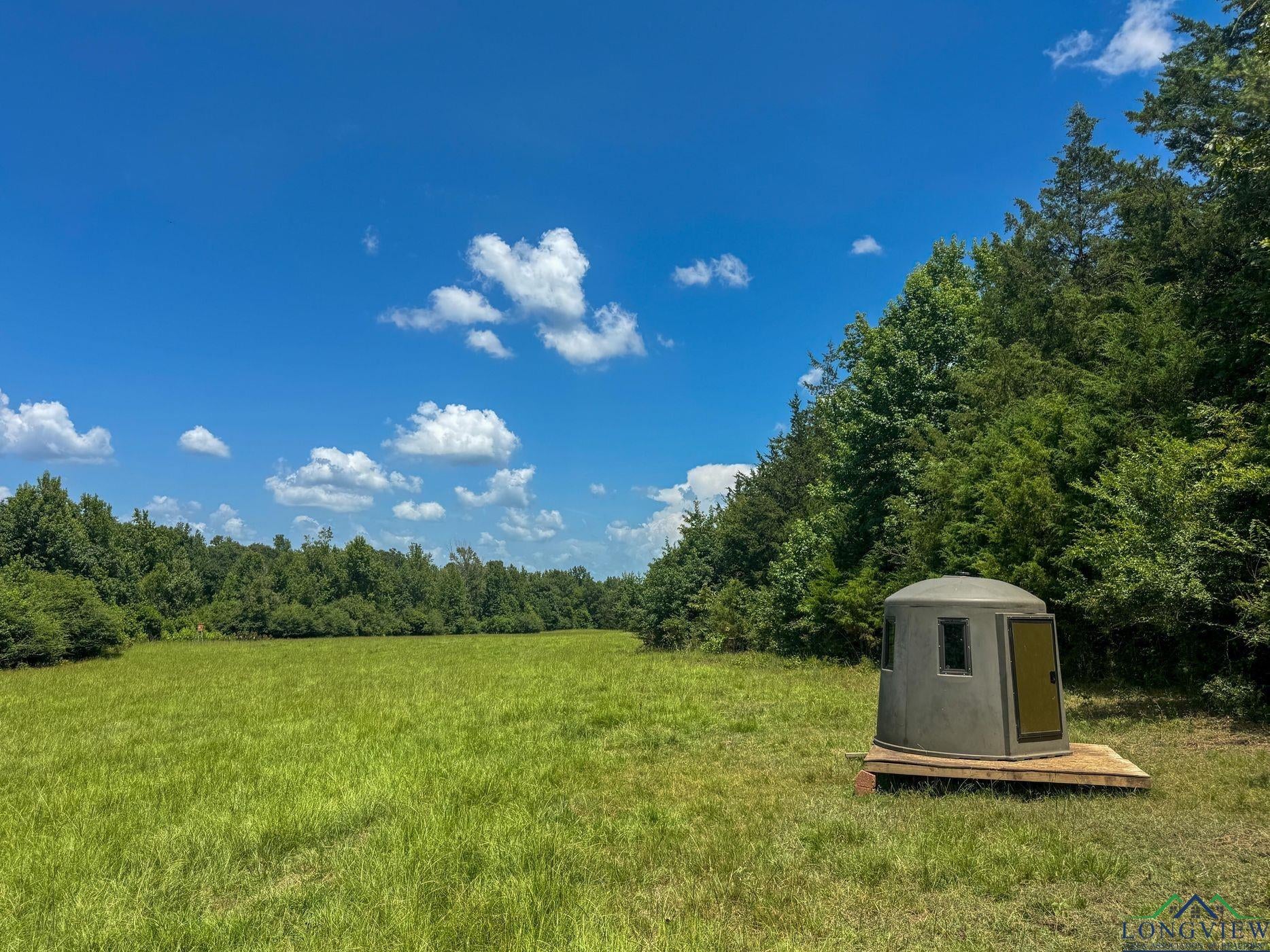 Linden, Texas, 75563, United States, 3 Bedrooms Bedrooms, ,3 BathroomsBathrooms,Residential,For Sale,1974630