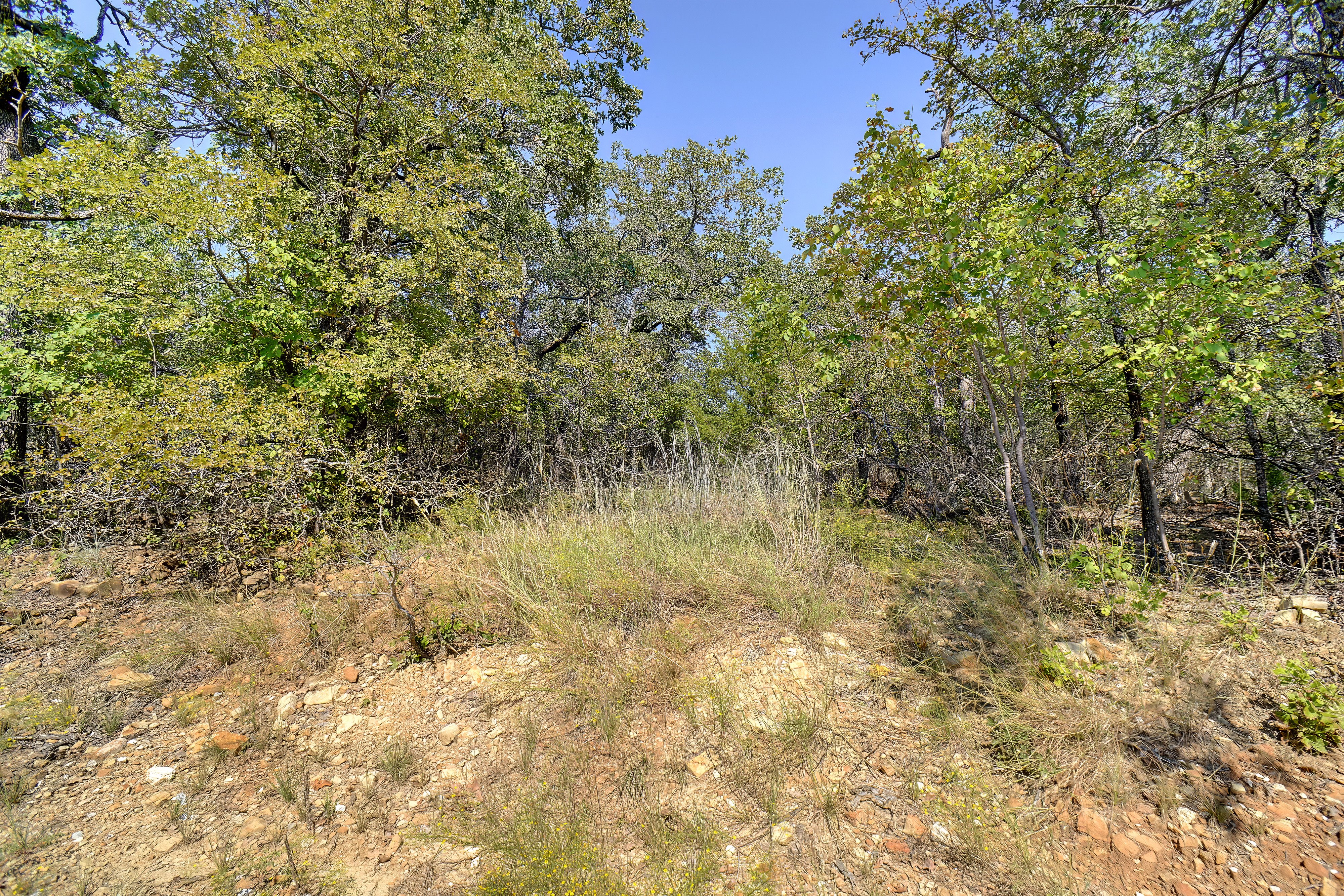 Chico, Texas, 76431, United States, 3 Bedrooms Bedrooms, ,2 BathroomsBathrooms,Residential,For Sale,1936991