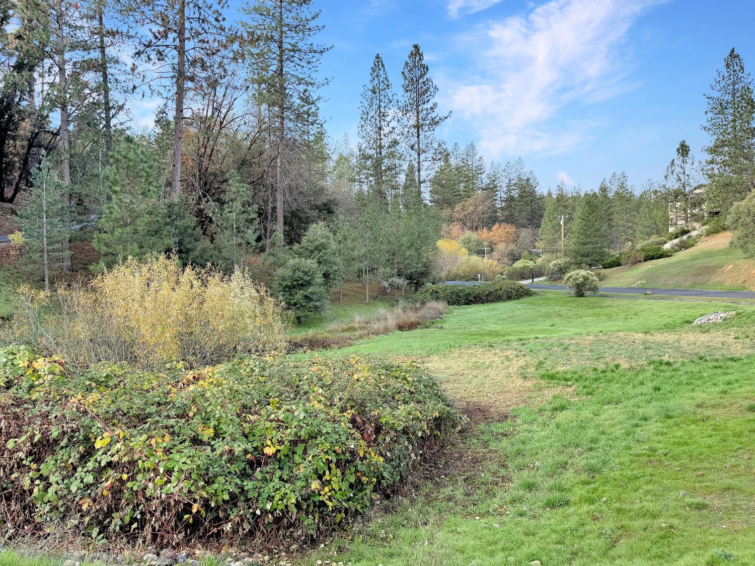 Colfax, California, 95713, United States, 5 Bedrooms Bedrooms, ,3 BathroomsBathrooms,Residential,For Sale,2002832