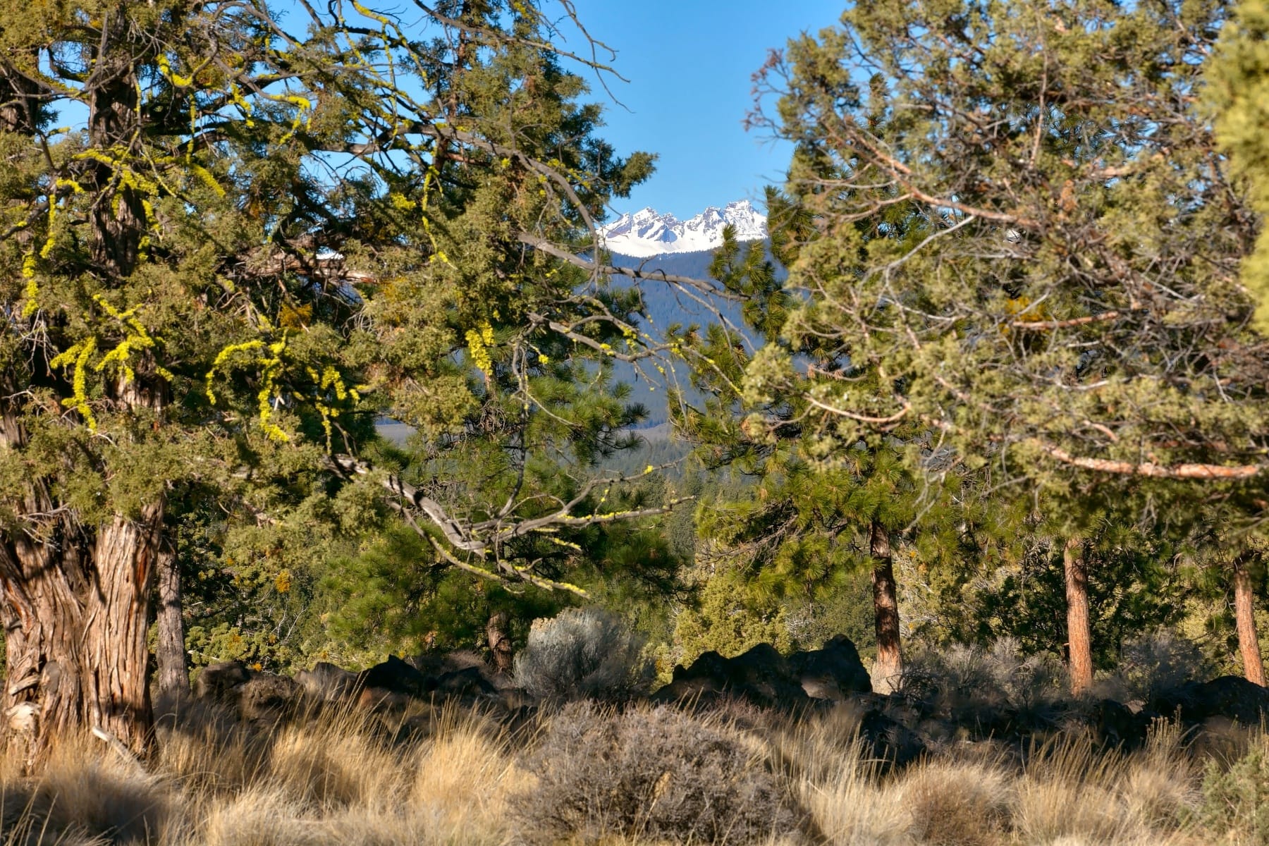  3380 NW Greenleaf Way Bend, OR 97703 - 物件實景