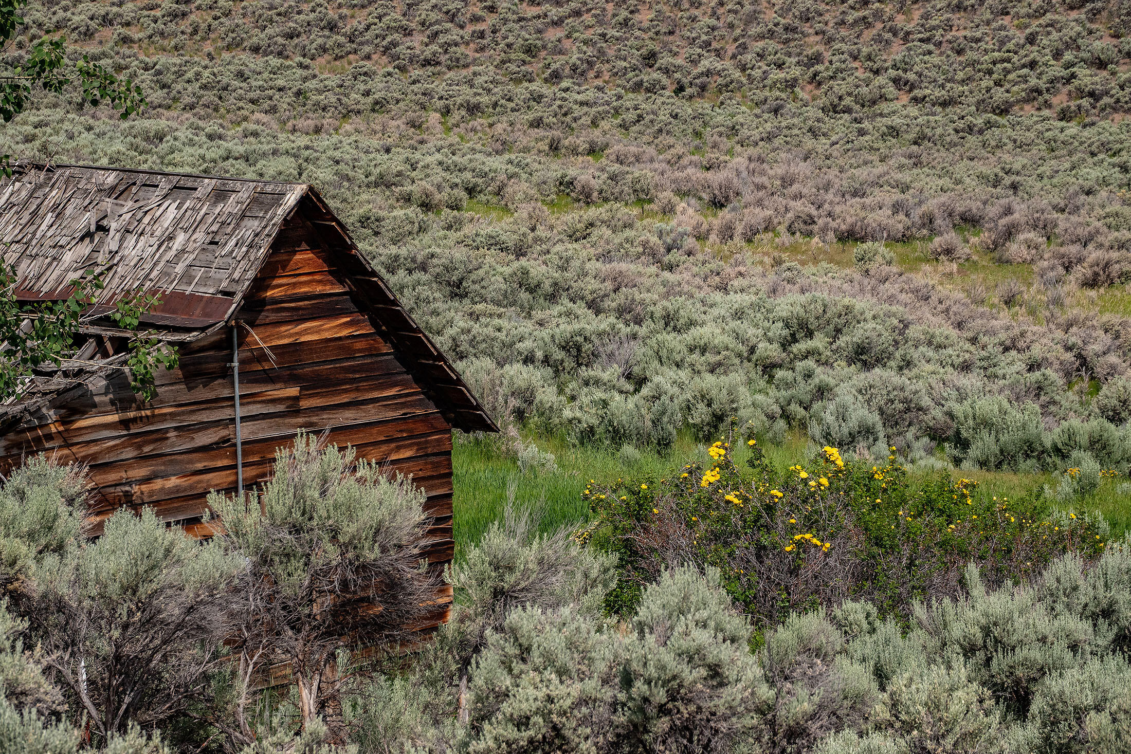Tl 3700 Suplee Highway, Paulina, Oregon, 97751, United States, ,Land,For Sale,Tl 3700 Suplee Highway,1511106