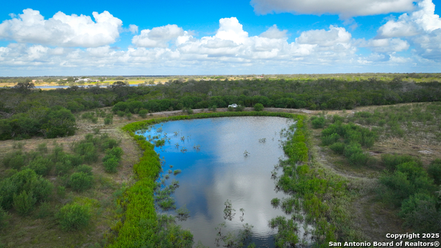 Nixon, Texas, 78140, United States, ,Residential,For Sale,1988320