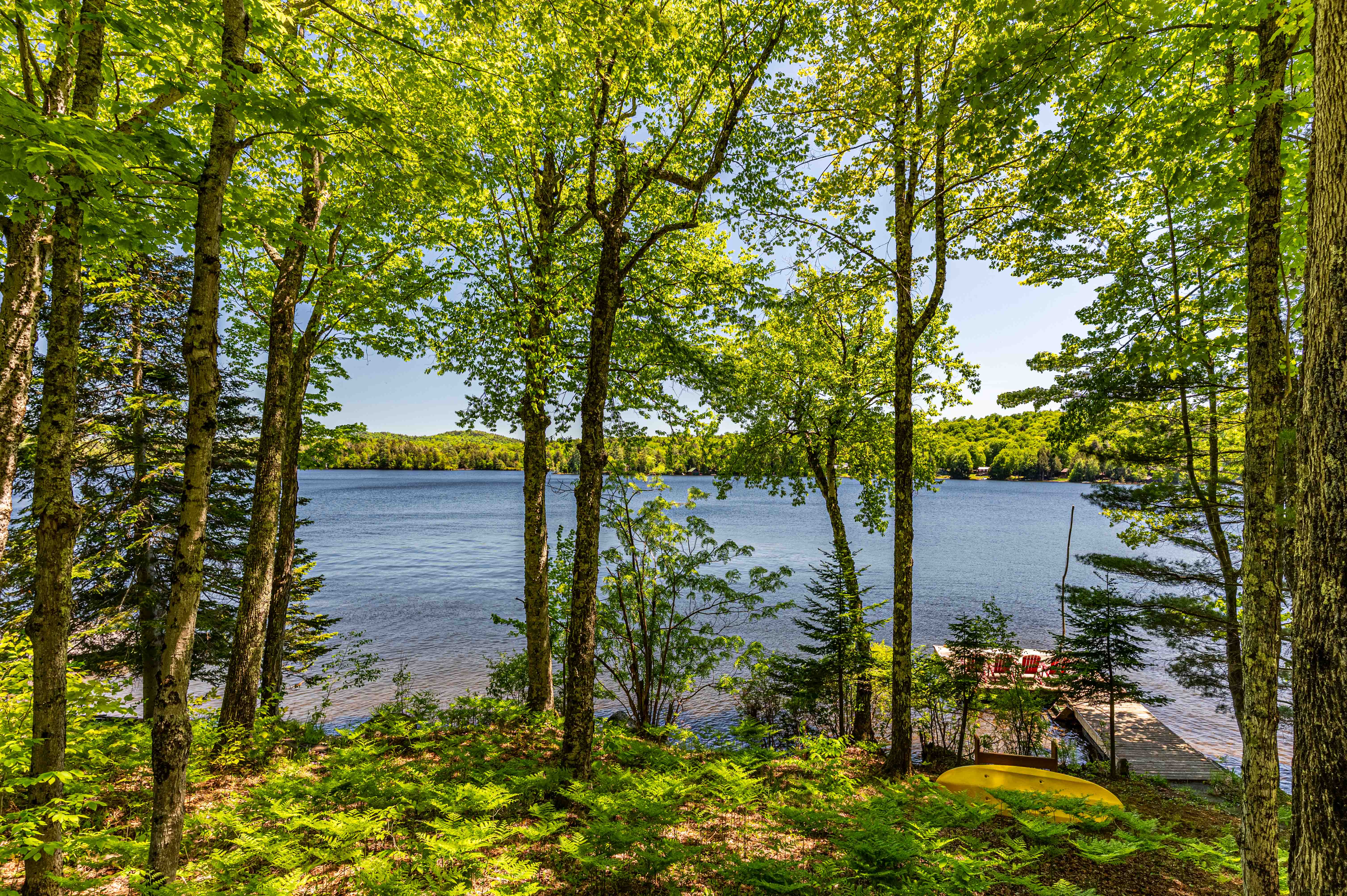  Lakefront Treasure on Fourth Lake - 物件實景