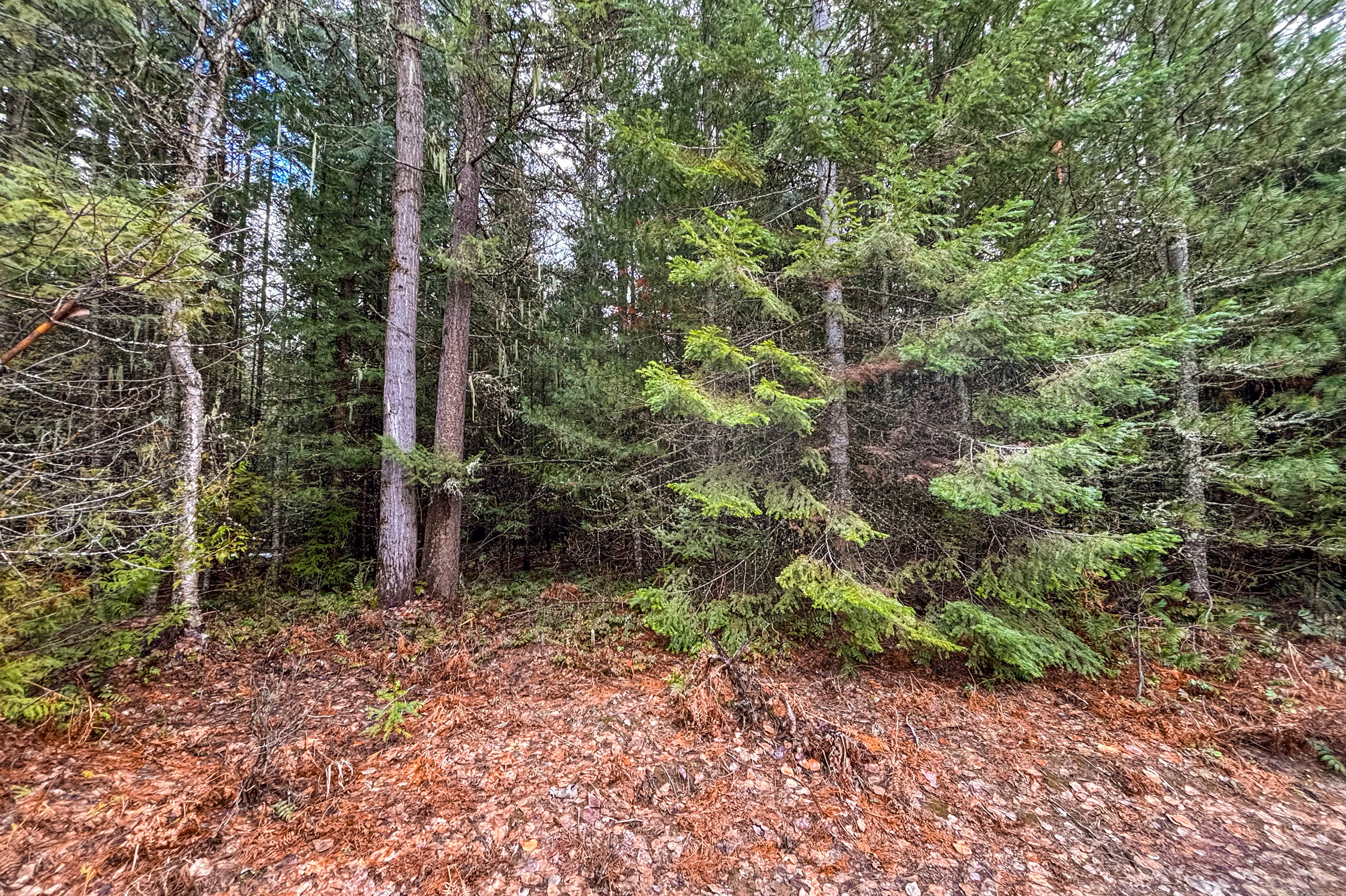 Sandpoint, Idaho, 83864, United States, ,Land,For Sale,2016068