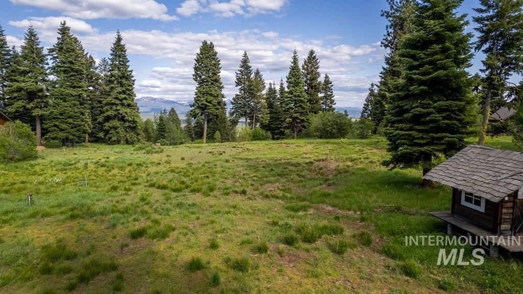 McCall, Idaho, 83638, United States, ,Land,For Sale,1983589
