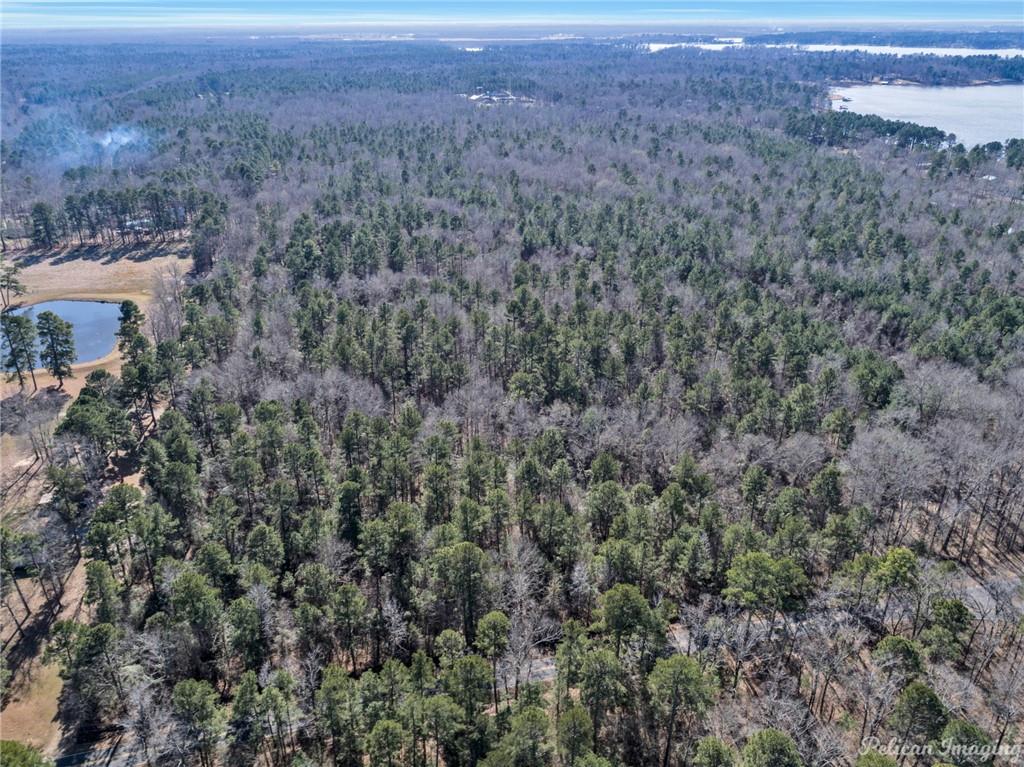 Benton, Louisiana, 71006, United States, ,Land,For Sale,2001965