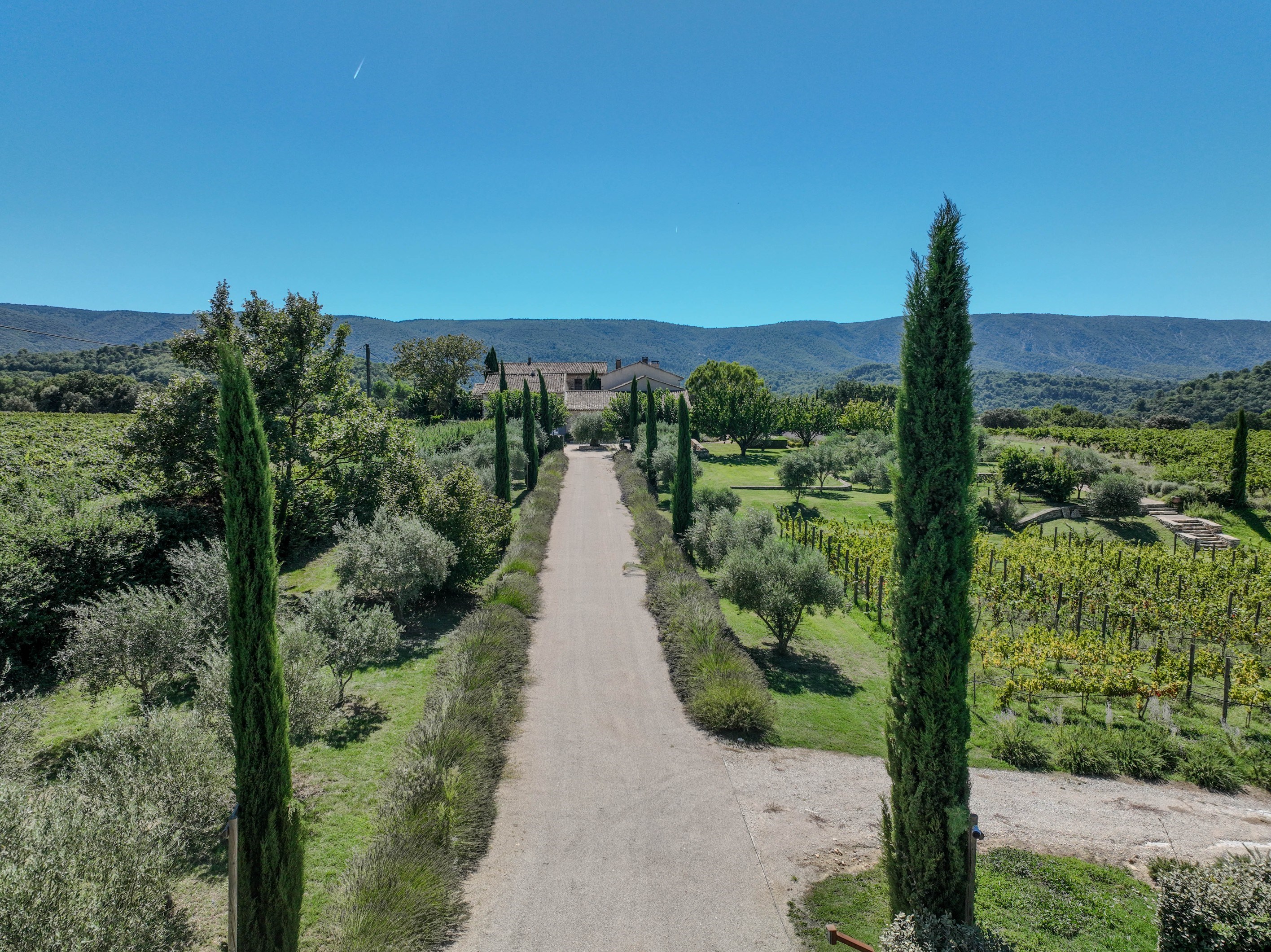  An Exceptional Estate with Timeless Charm - 物件實景