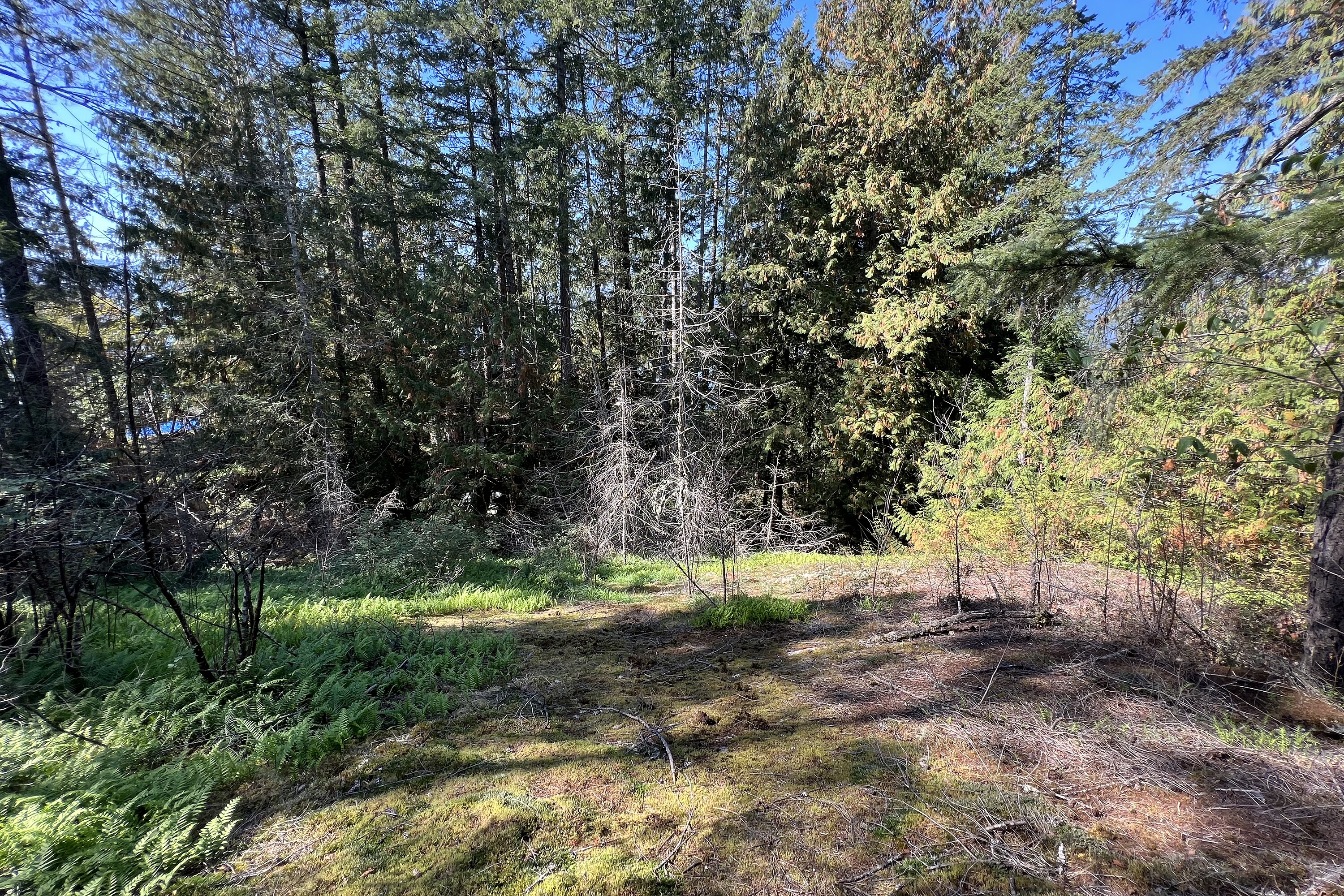  Sechelt, Sunshine Coast - 物件實景