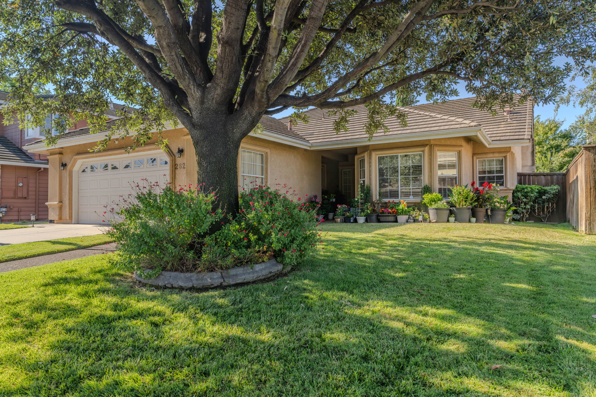  Single Story Home in a Sought After Lodi Neighborhood - 物件實景