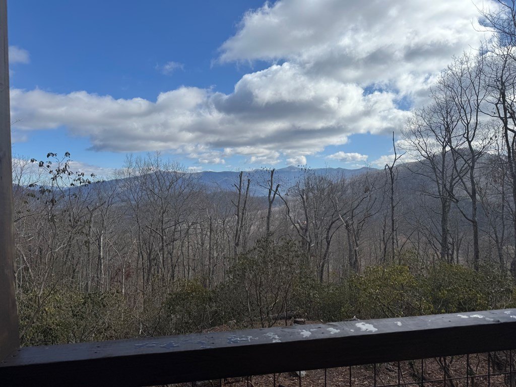 Young Harris, Georgia, 30582, United States, 3 Bedrooms Bedrooms, ,2 BathroomsBathrooms,Residential,For Sale,2010979