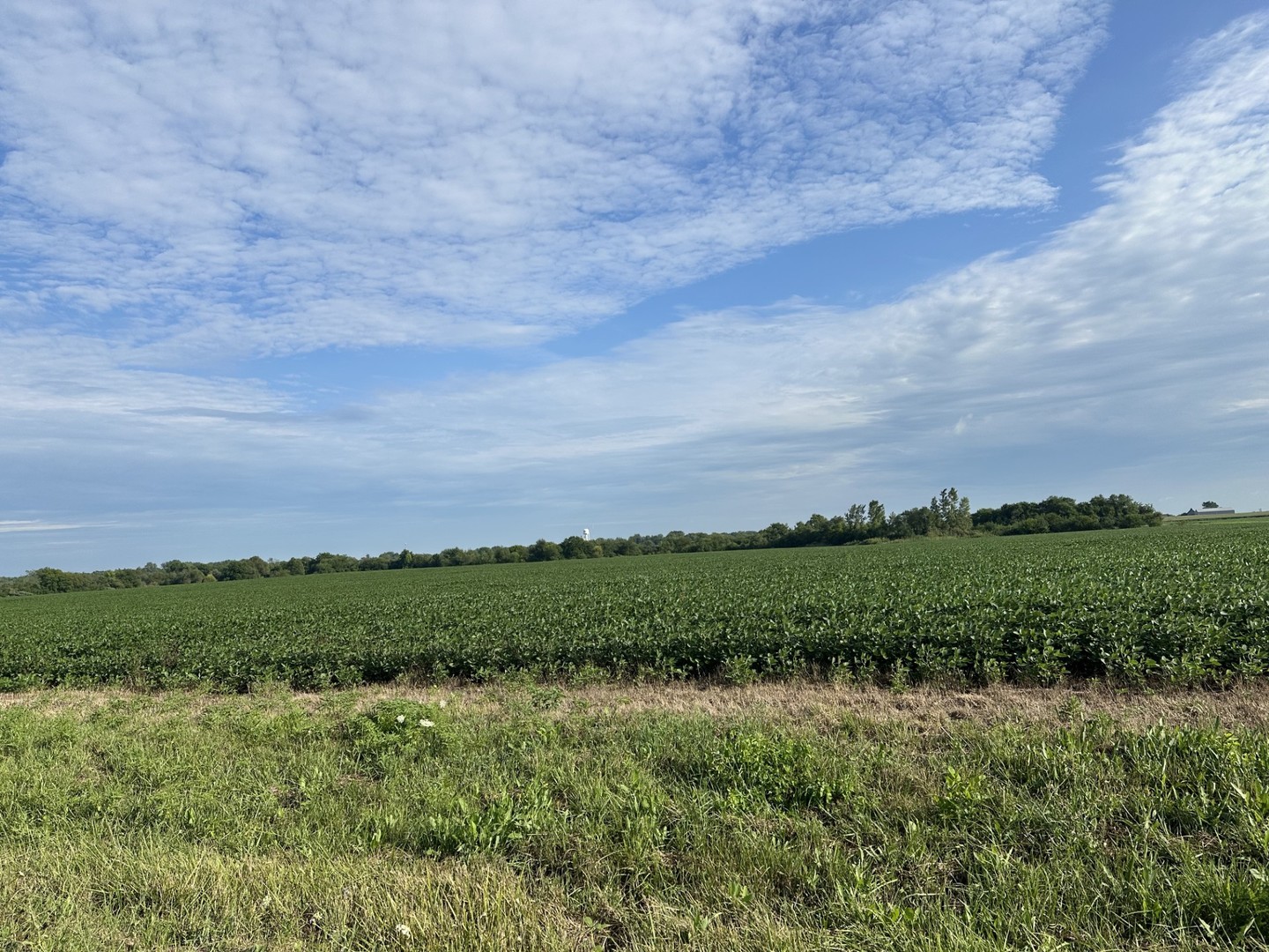 Beecher, Illinois, 60401, United States, ,Residential,For Sale,1907439
