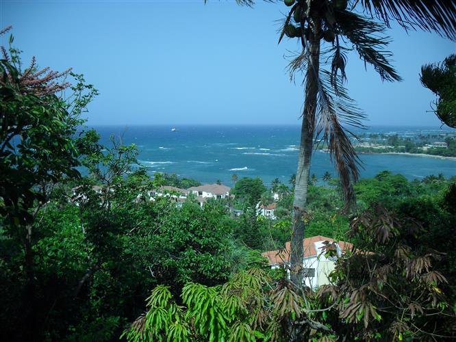 Puerto Plata, DO, 4 Bedrooms Bedrooms, ,3 BathroomsBathrooms,Residential,For Sale,1616004
