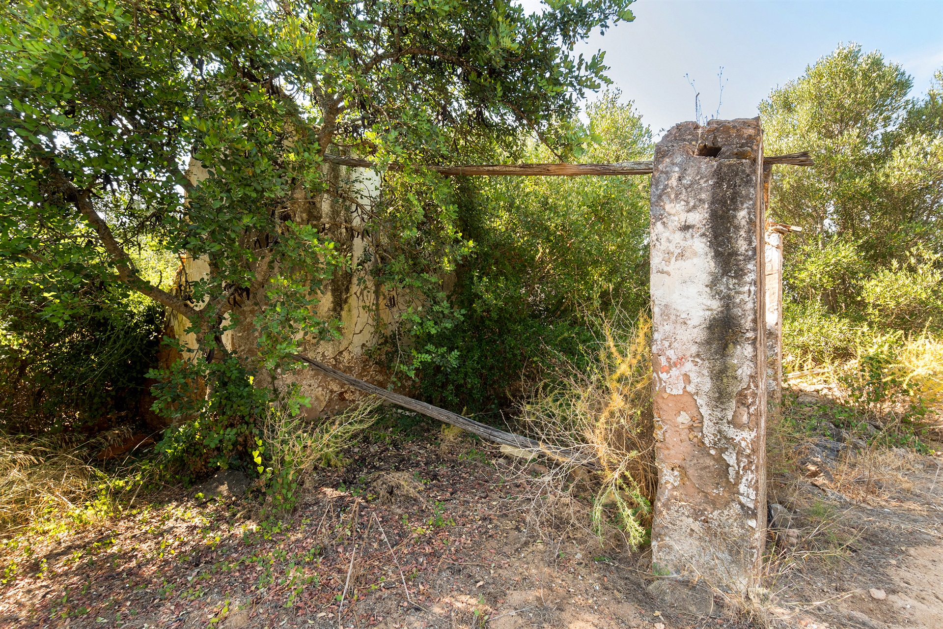  Stand, 4 bedrooms, for Sale - 物件實景