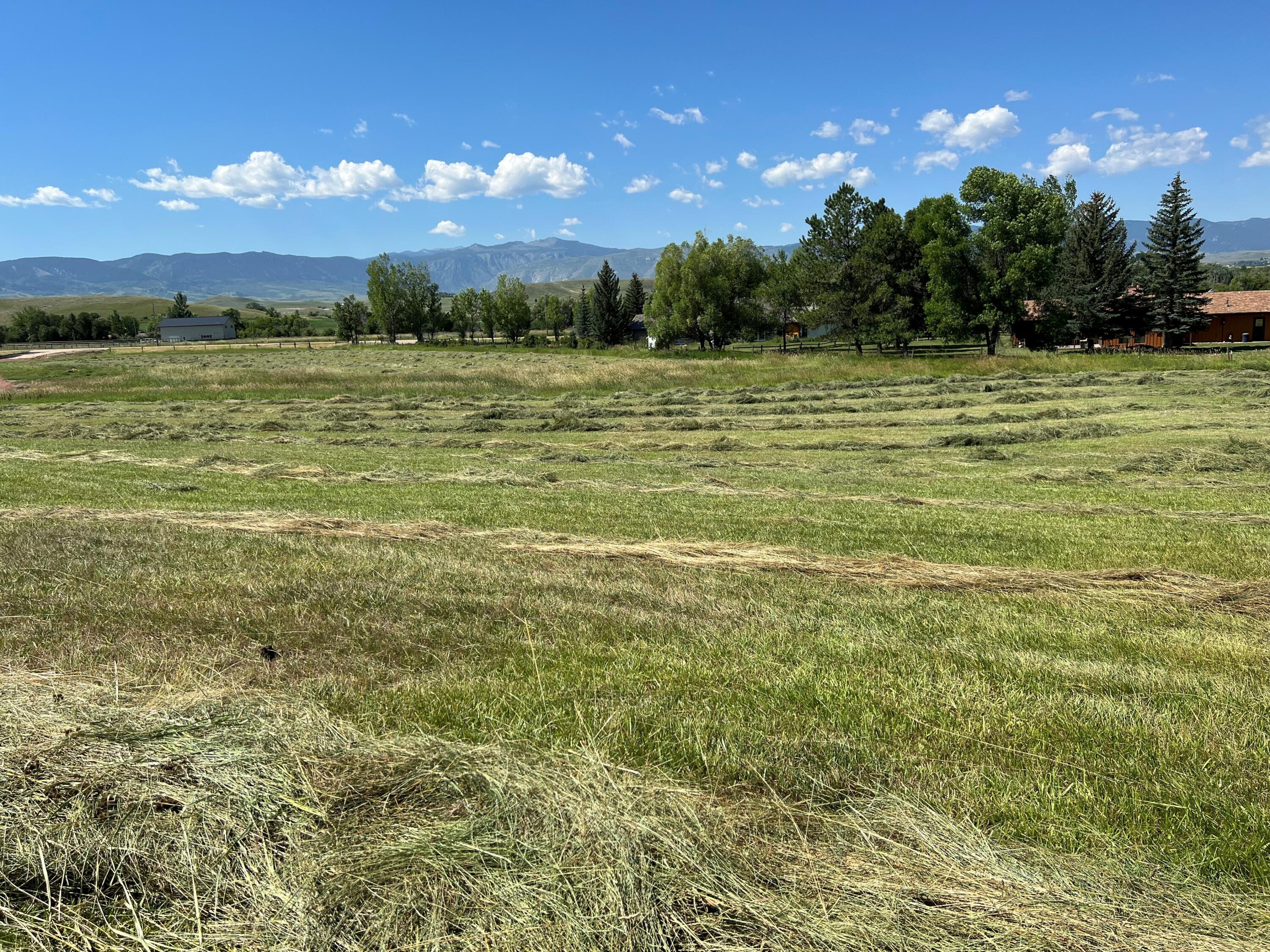 TBD HWY 87, Sheridan, Wyoming, 82801, United States, ,Residential,For Sale,TBD HWY 87,1612340