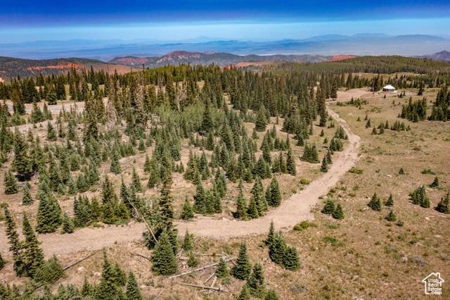Brian Head, Utah, 84719, United States, ,Residential,For Sale,1915846