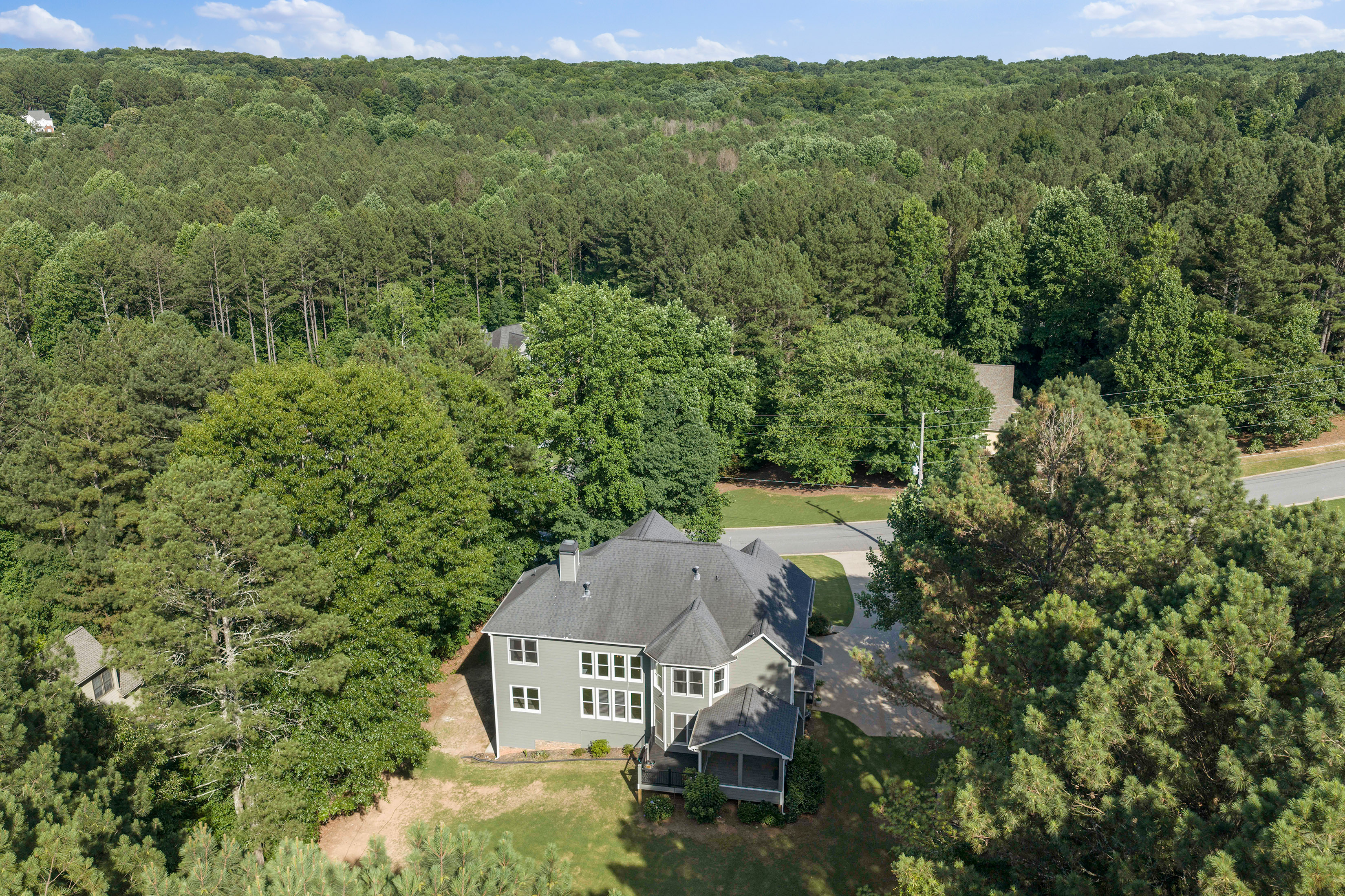  Luxury Living Surrounded by the Natural Beauty of the North Georgia Mountains - 物件實景