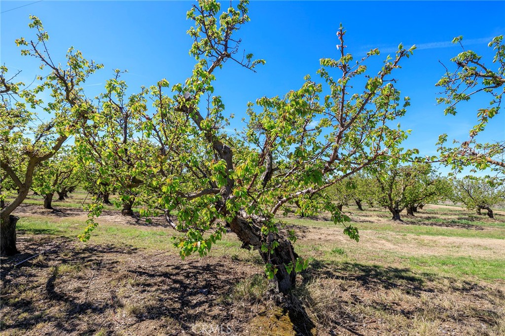 Patterson, California, 95360, United States, ,Residential,For Sale,1756473