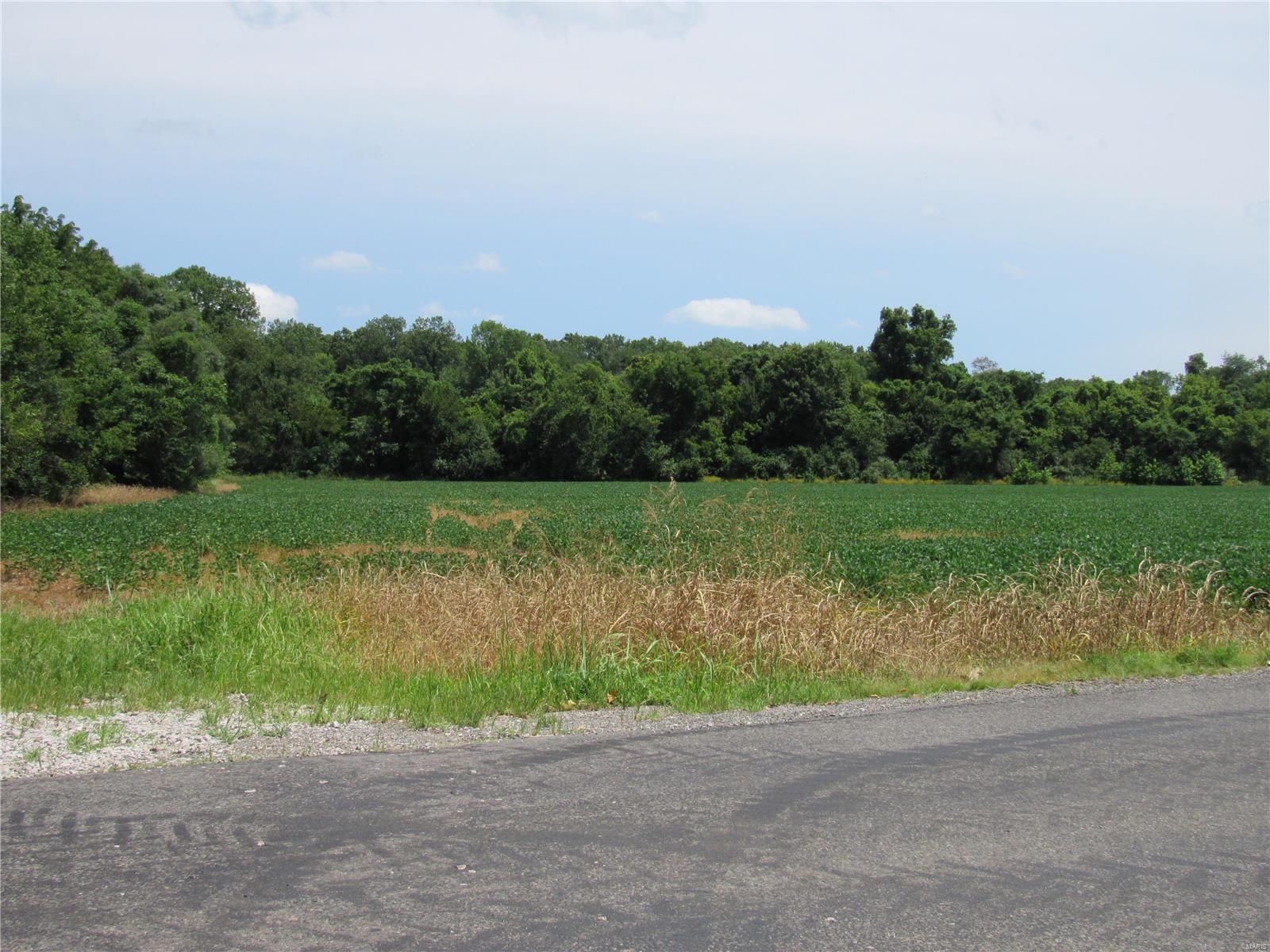 0 Wood Station Road, Alton, Illinois, 62002, United States, ,Residential,For Sale,0 Wood Station Road,1595953