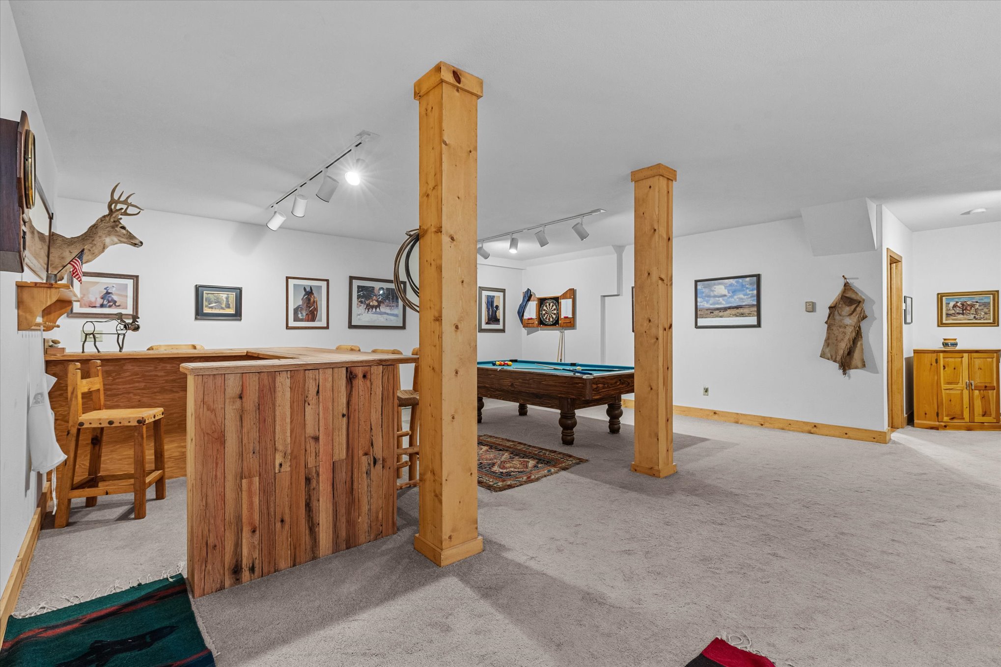 59205 Button Willow Drive, Clark, CO, 80428 - 物件實景