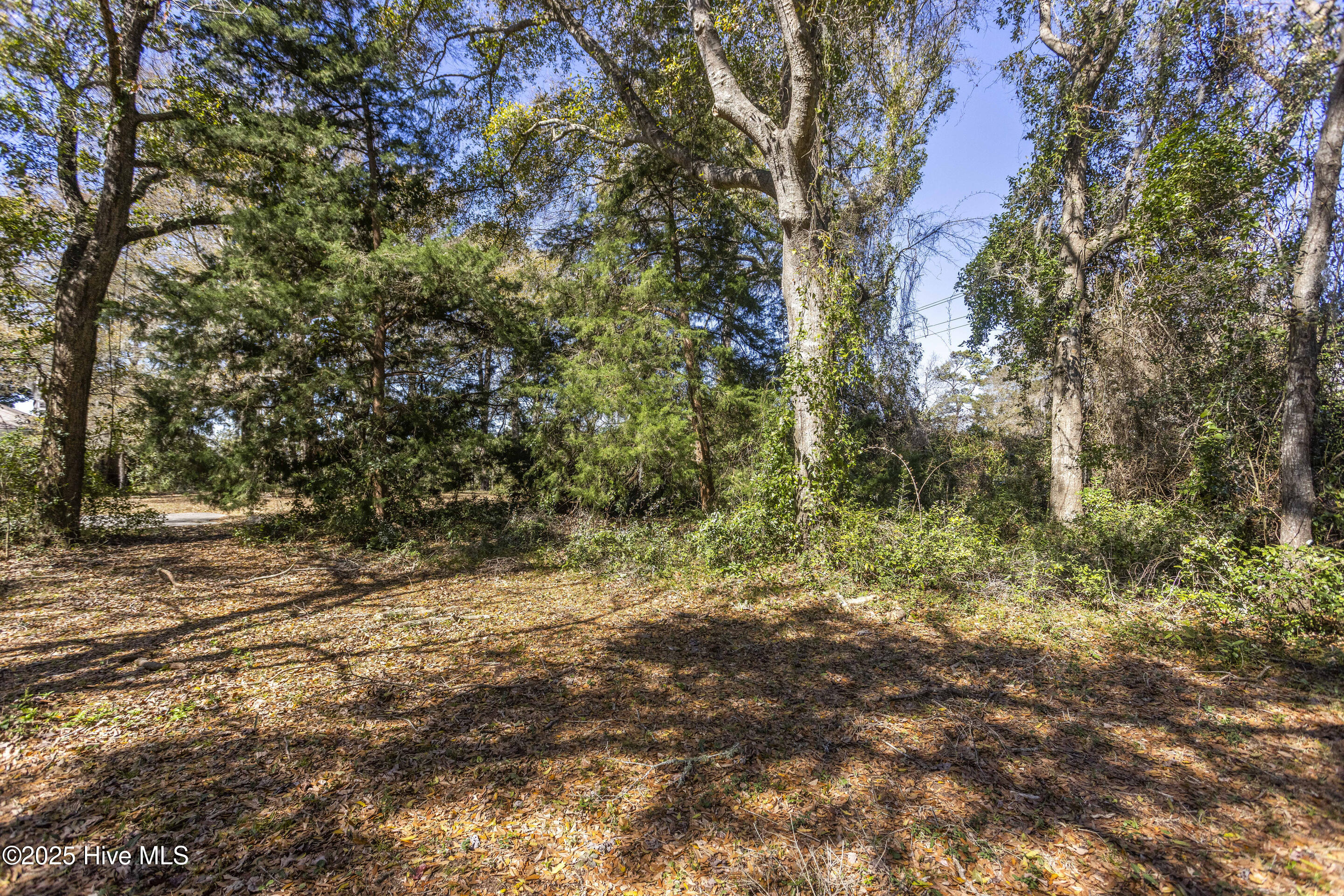 Sunset Beach, North Carolina, 28468, United States, ,Land,For Sale,1743682