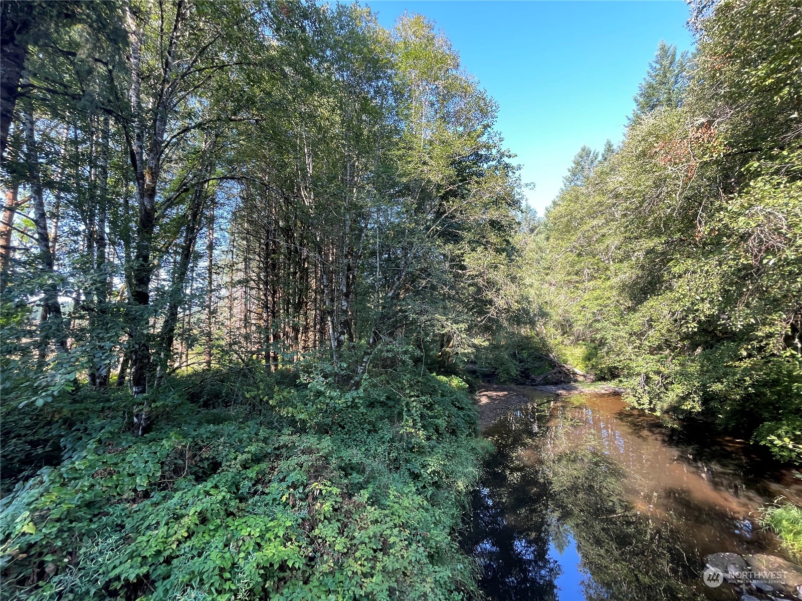 0 Salmon Creek Road, Toledo, Washington, 98591, United States, ,Land,For Sale,0 Salmon Creek Road,1445905